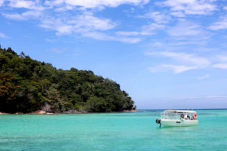 white boat on sea near green trees under blue sky during daytime