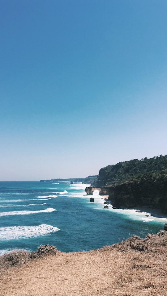 green trees on mountain near sea during daytime in Sumba Indonesia