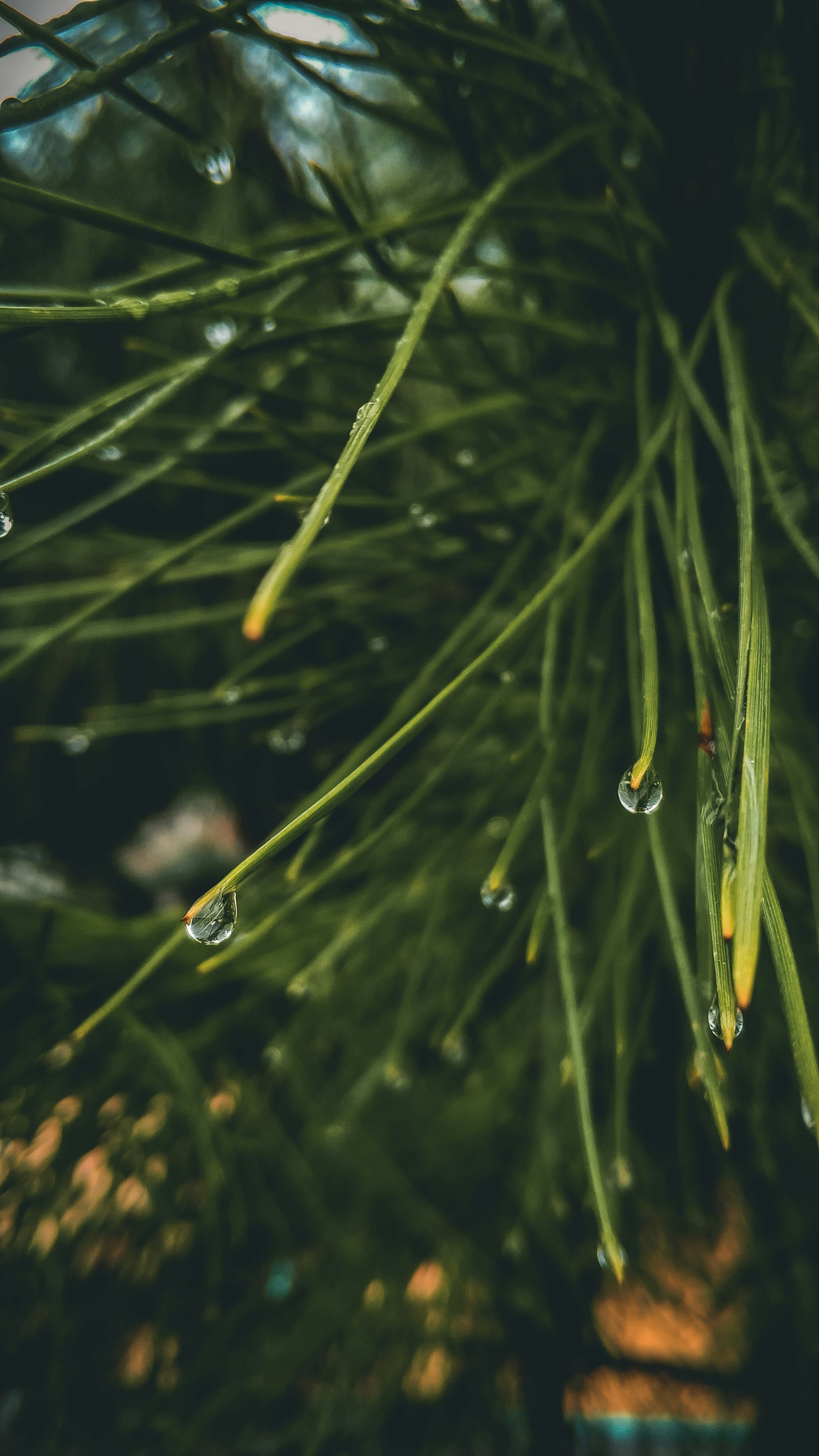 Photo by capturedby_mert