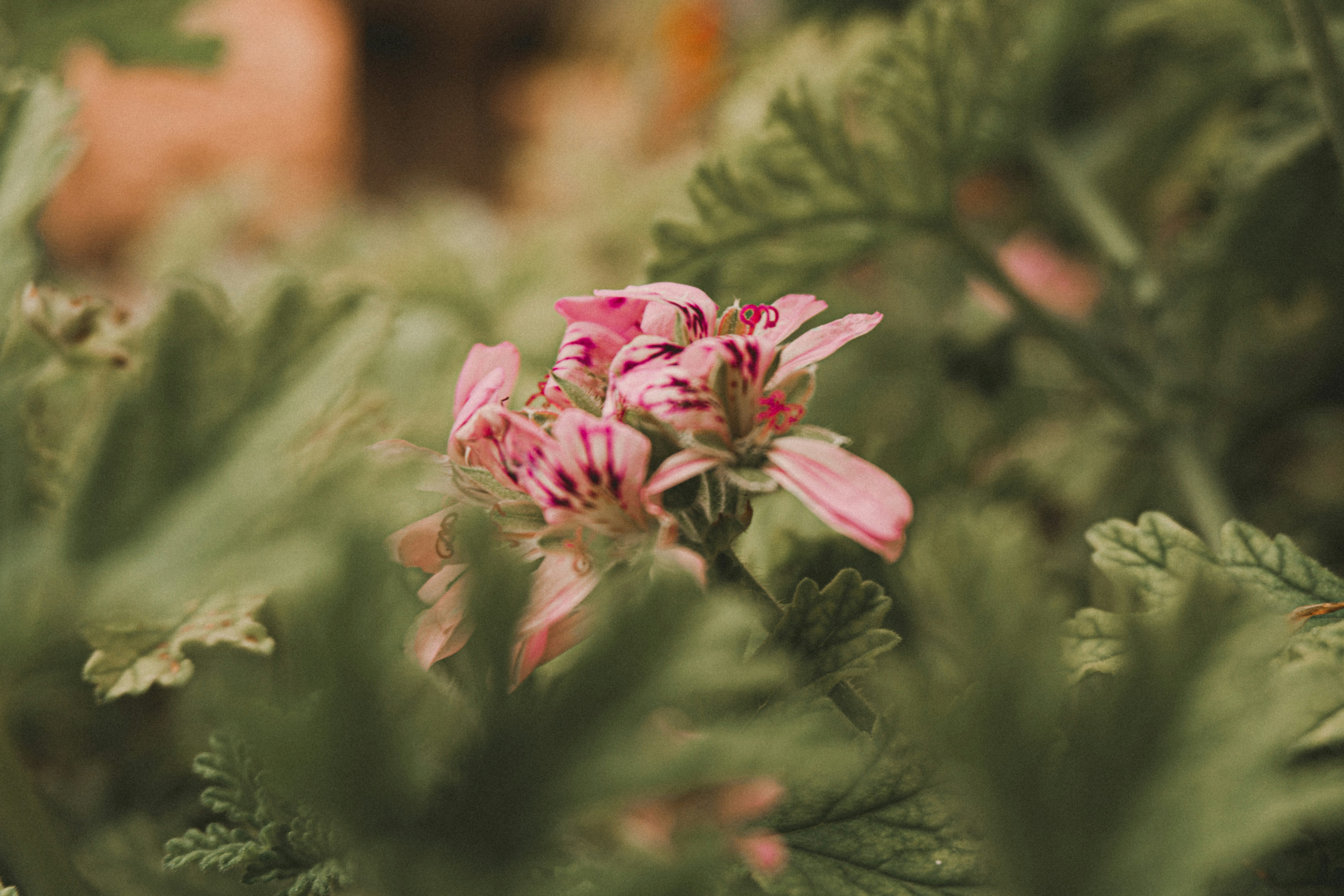 Photo by capturedby_mert