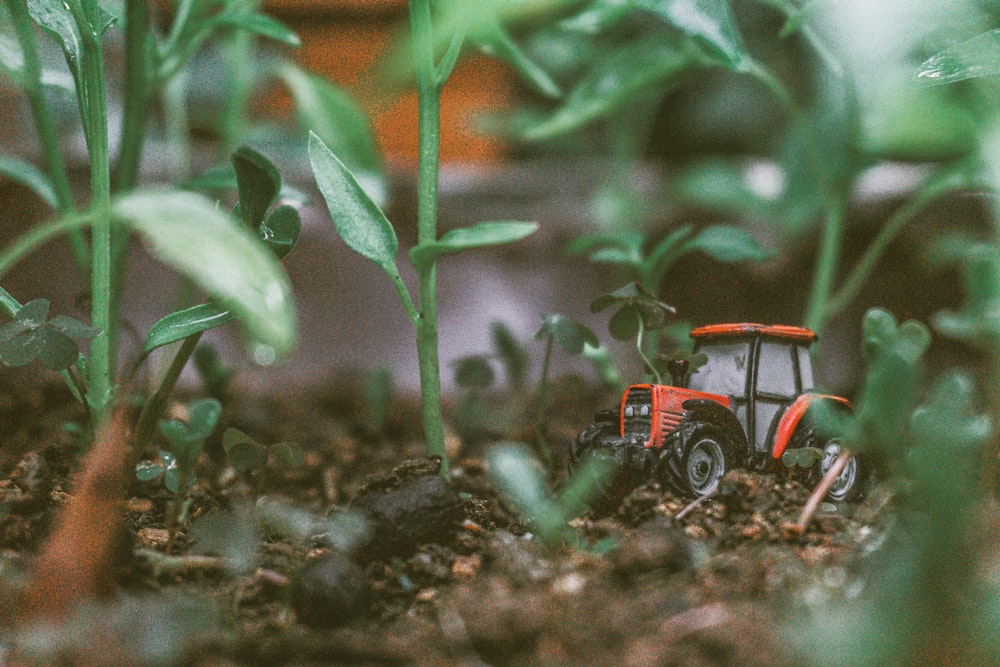 orange and black tractor on brown soil