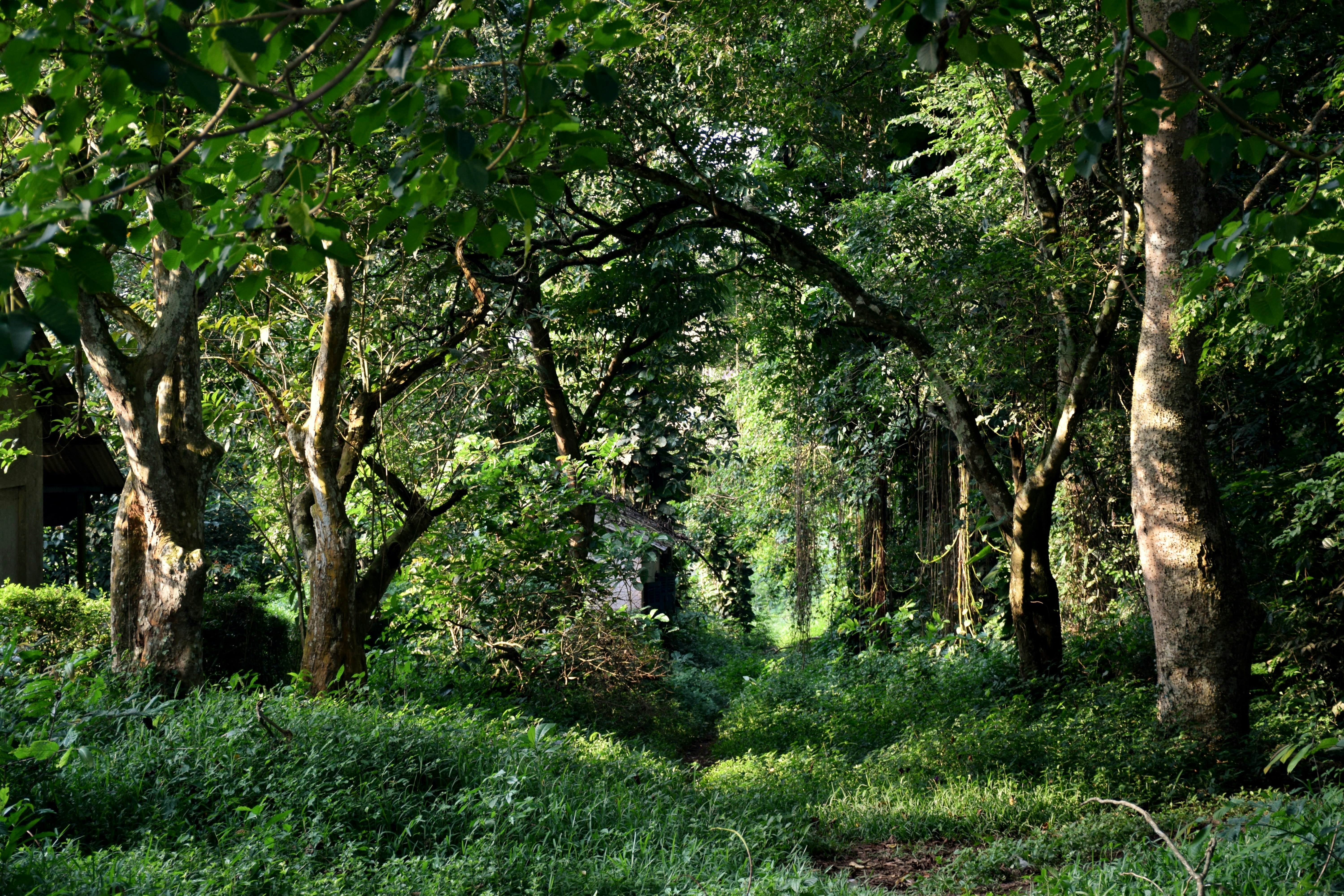 nature @Ghana