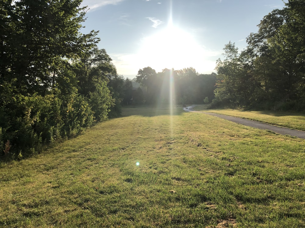 green grass field with sun rays