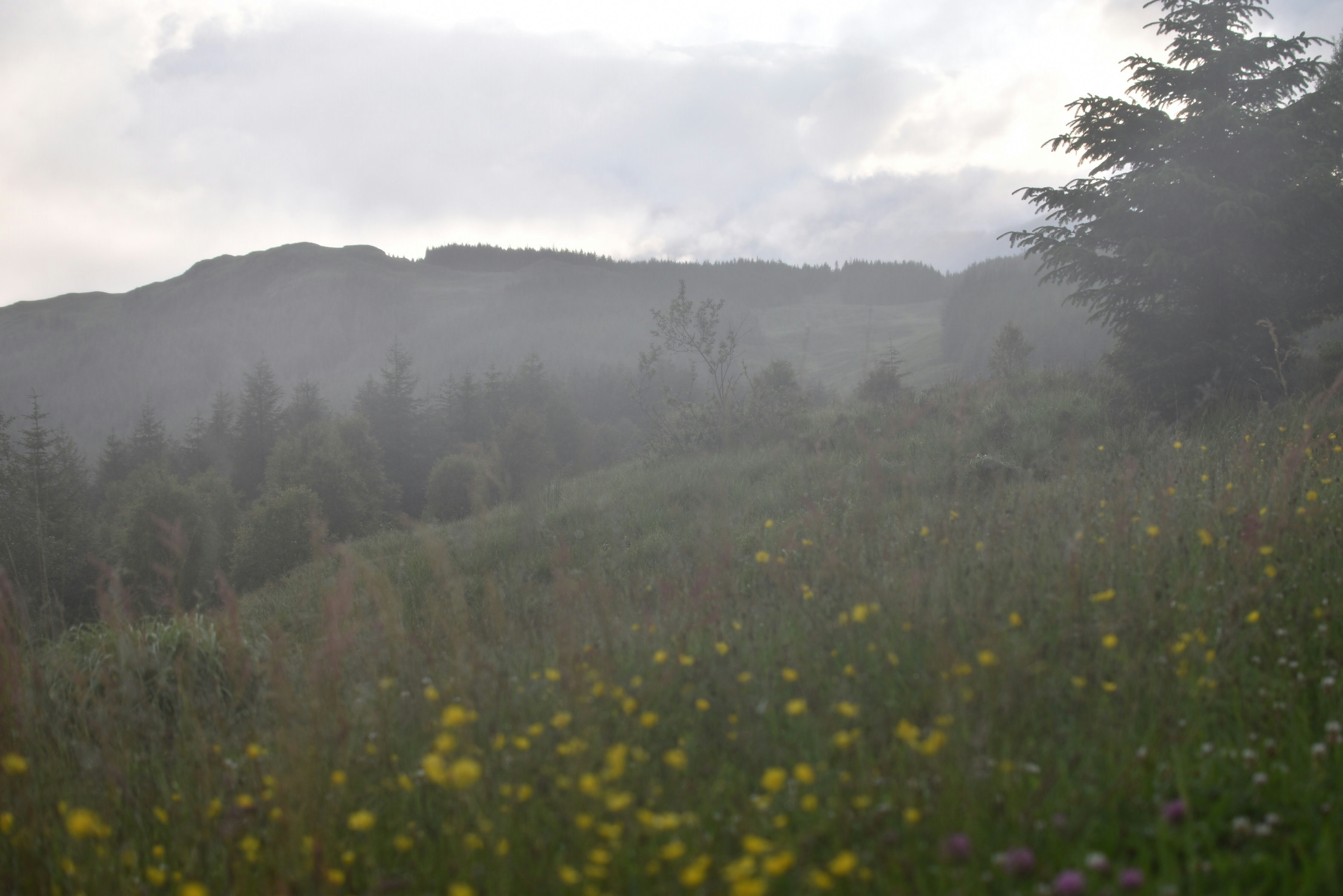 Photo by tomasrobertson