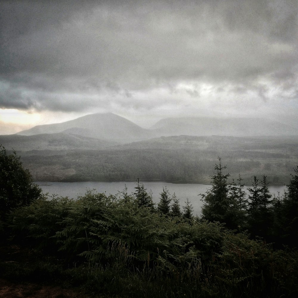 green trees near lake under cloudy sky during daytime