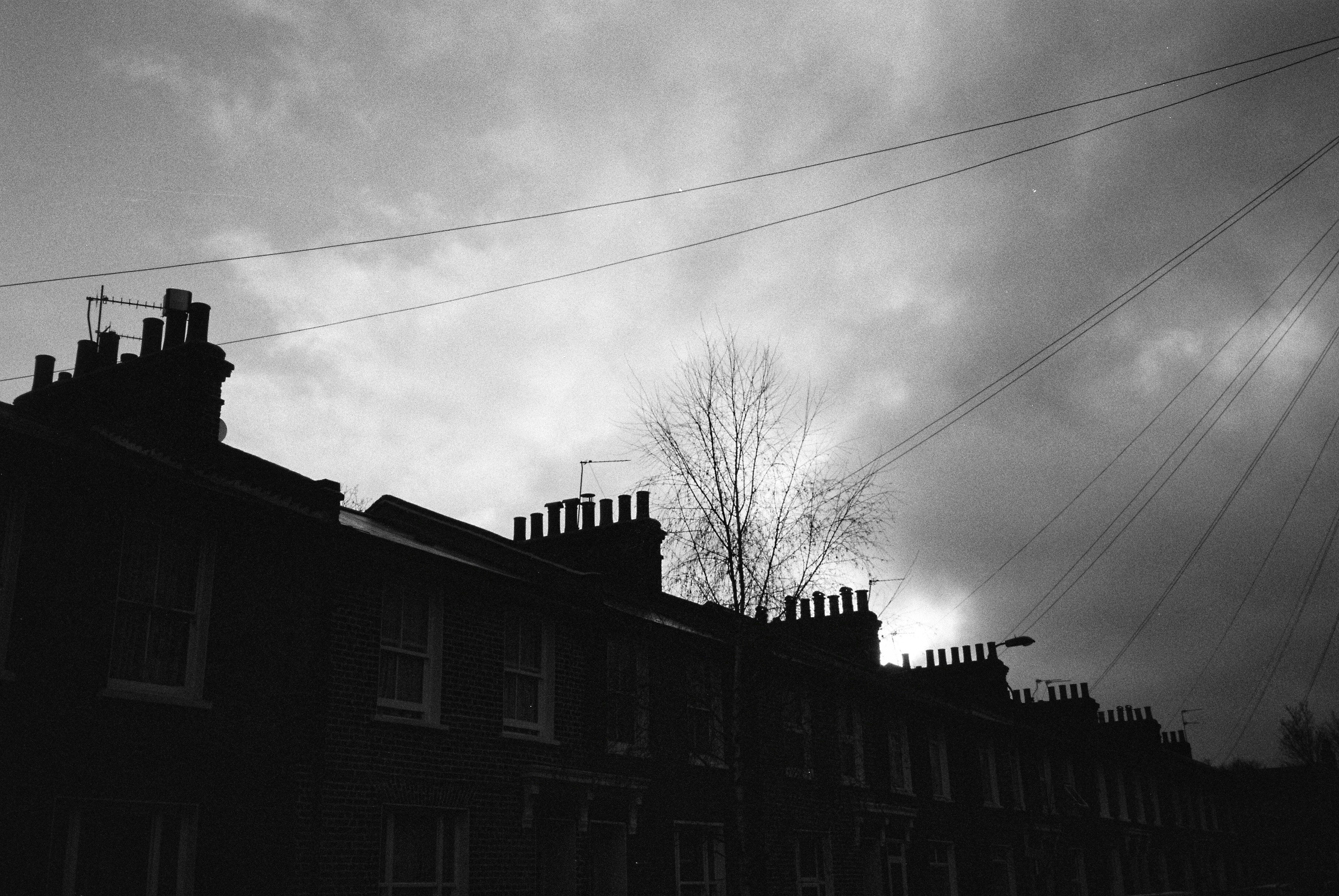 Photo by tomasrobertson