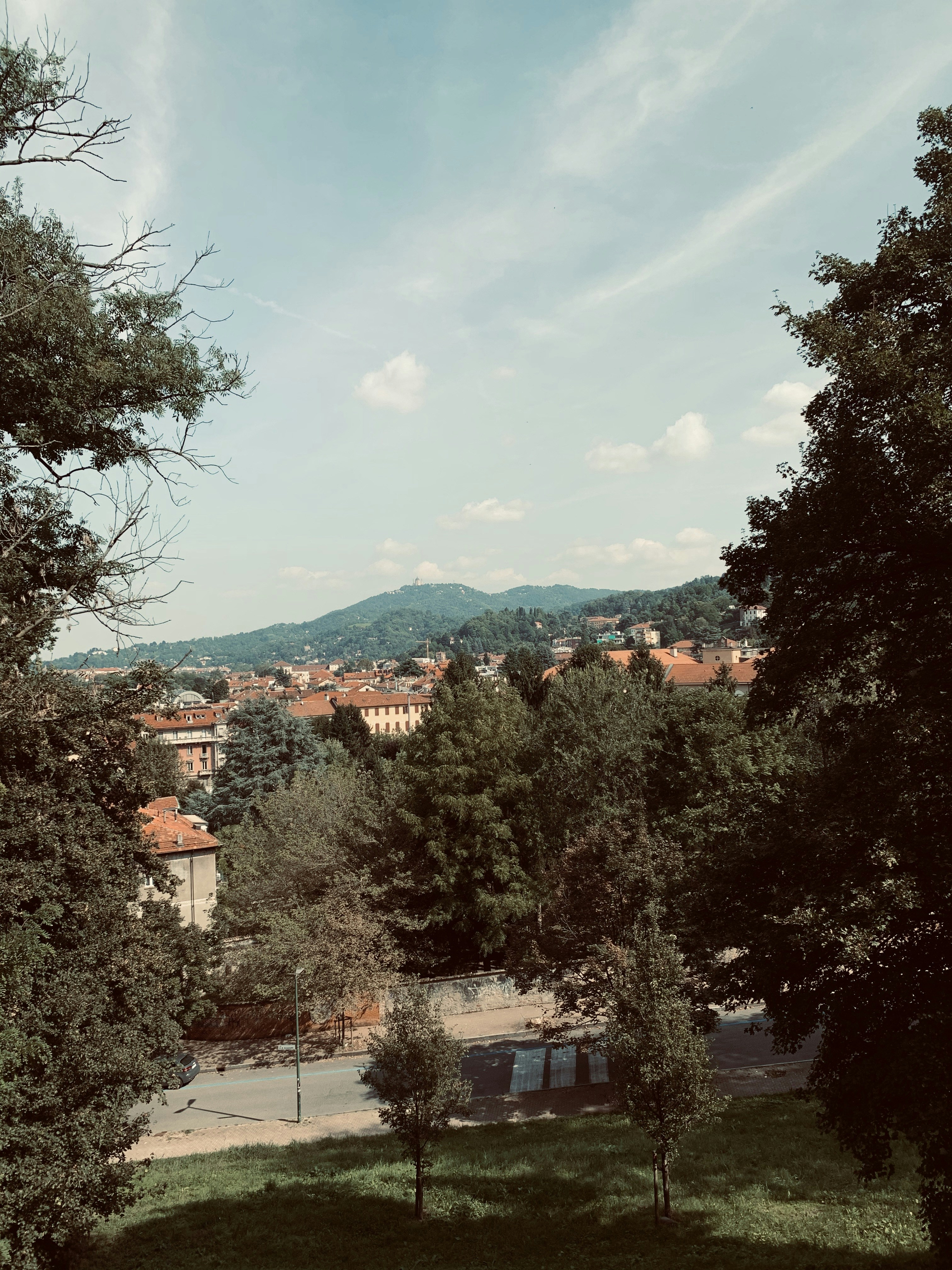 Photo by stellapetrov
