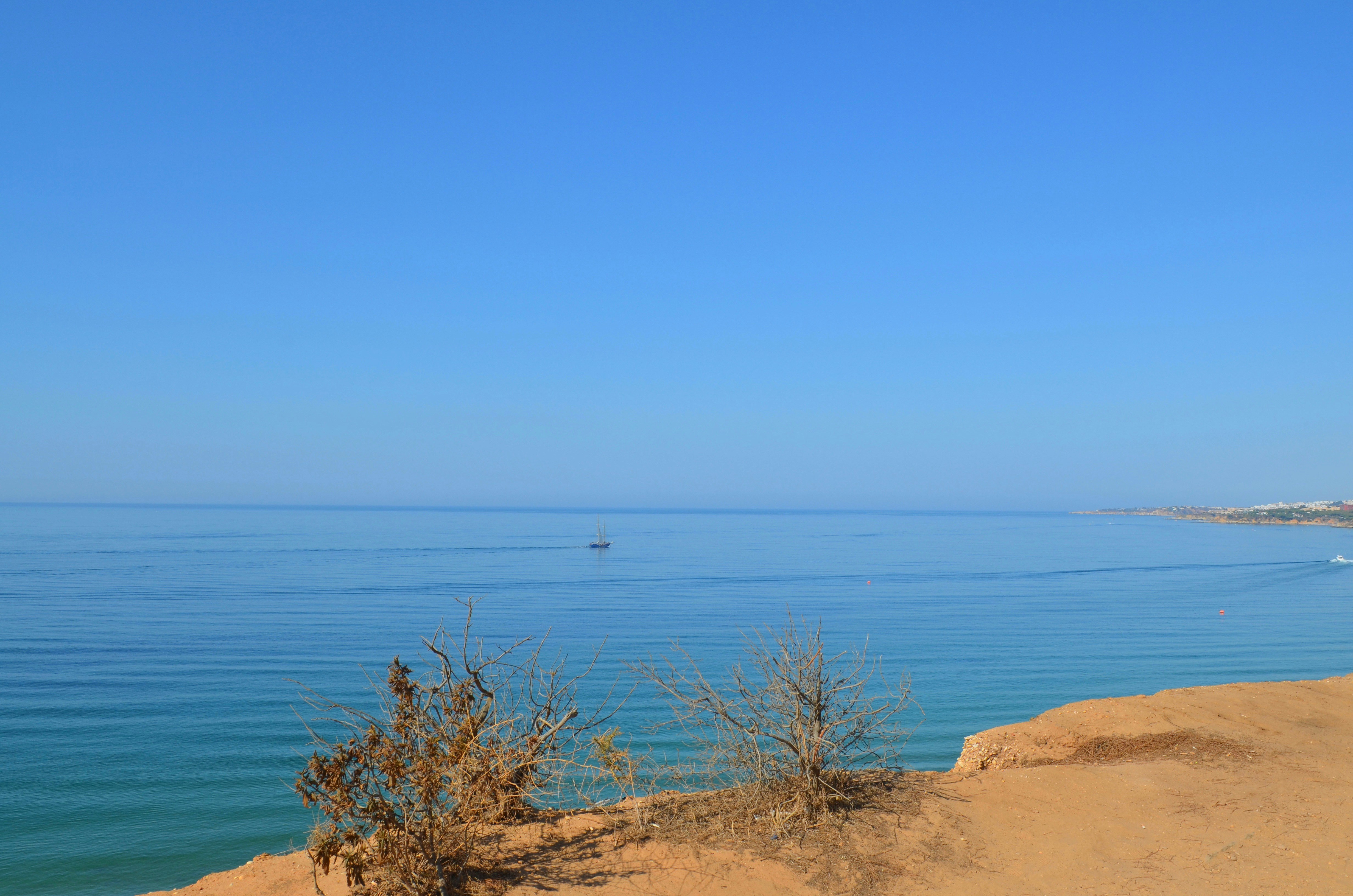 Photo by thefamalmonte