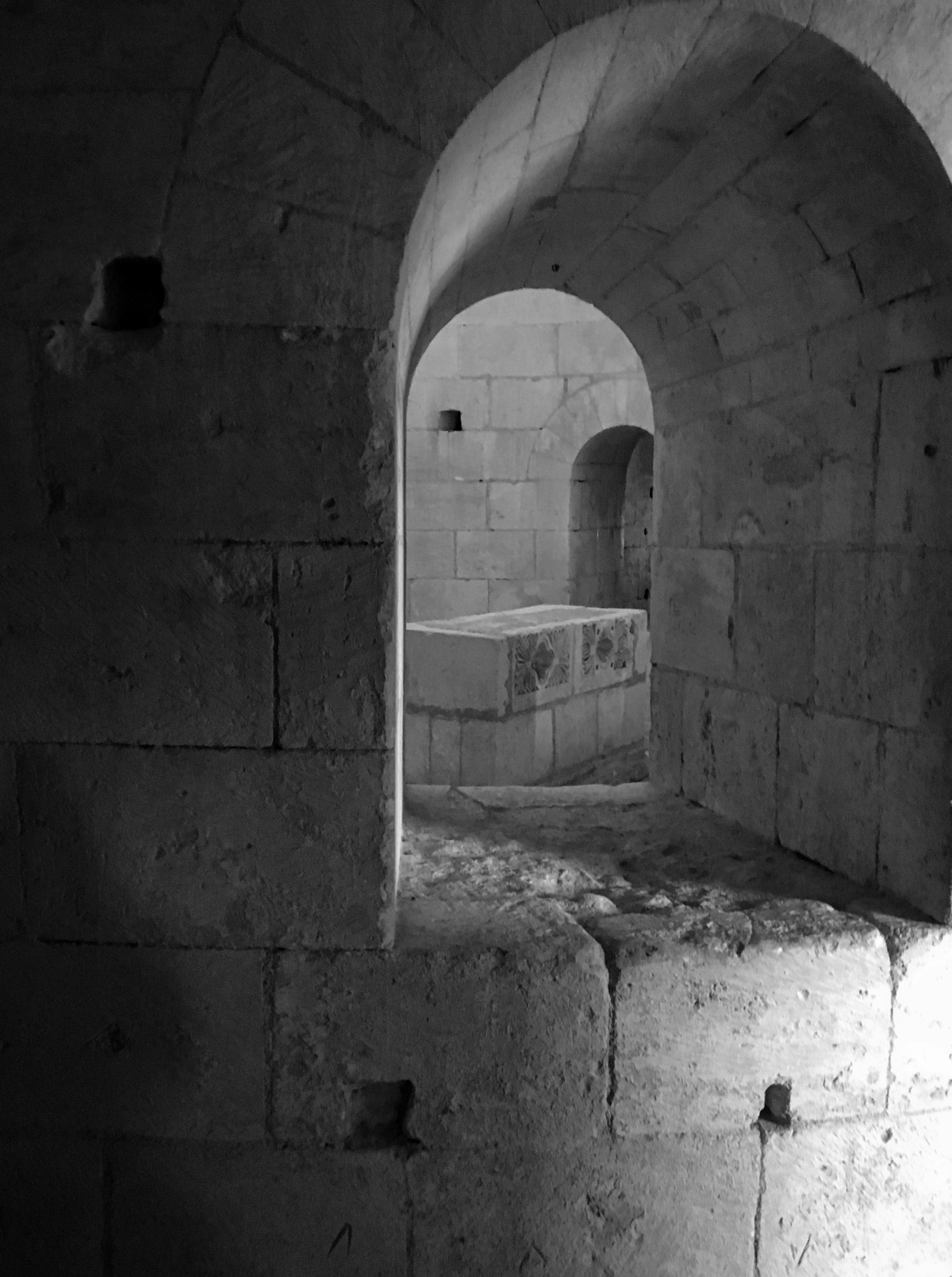 Photo by tomasrobertson