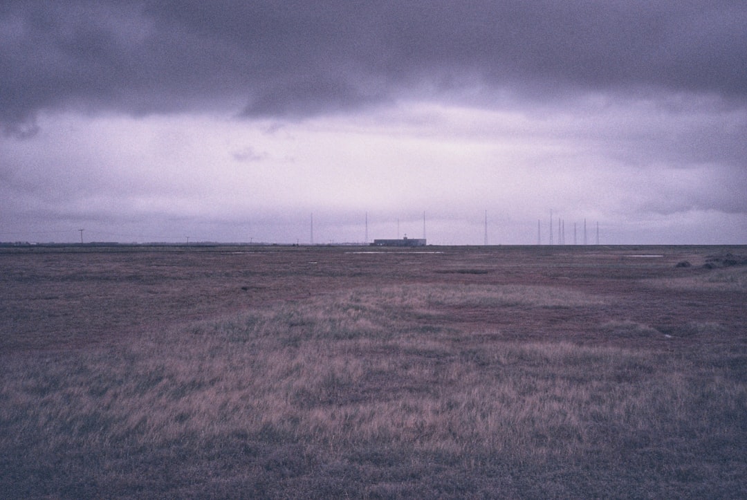 brown grass field under gray sky
