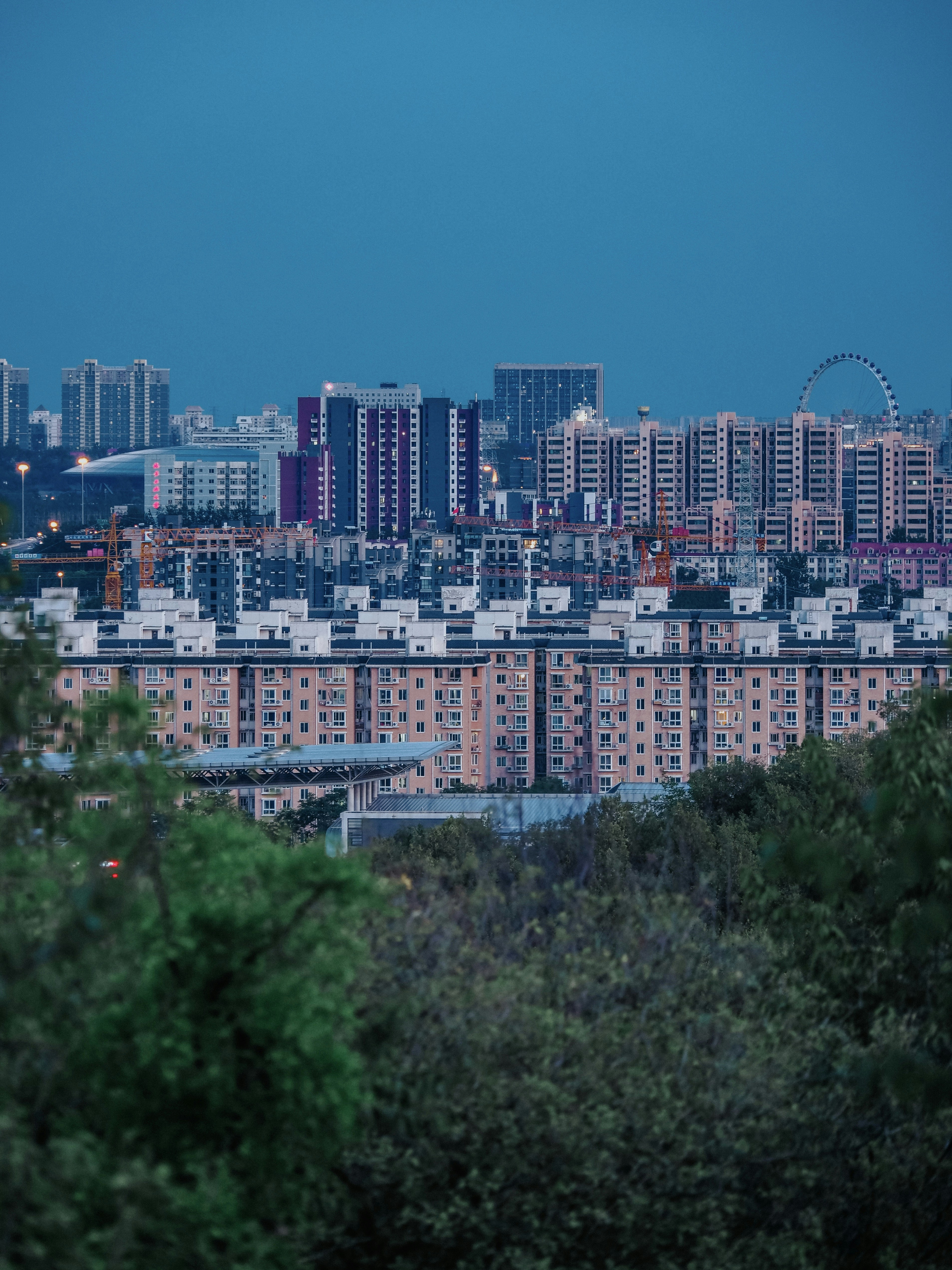 Photo by photohunter