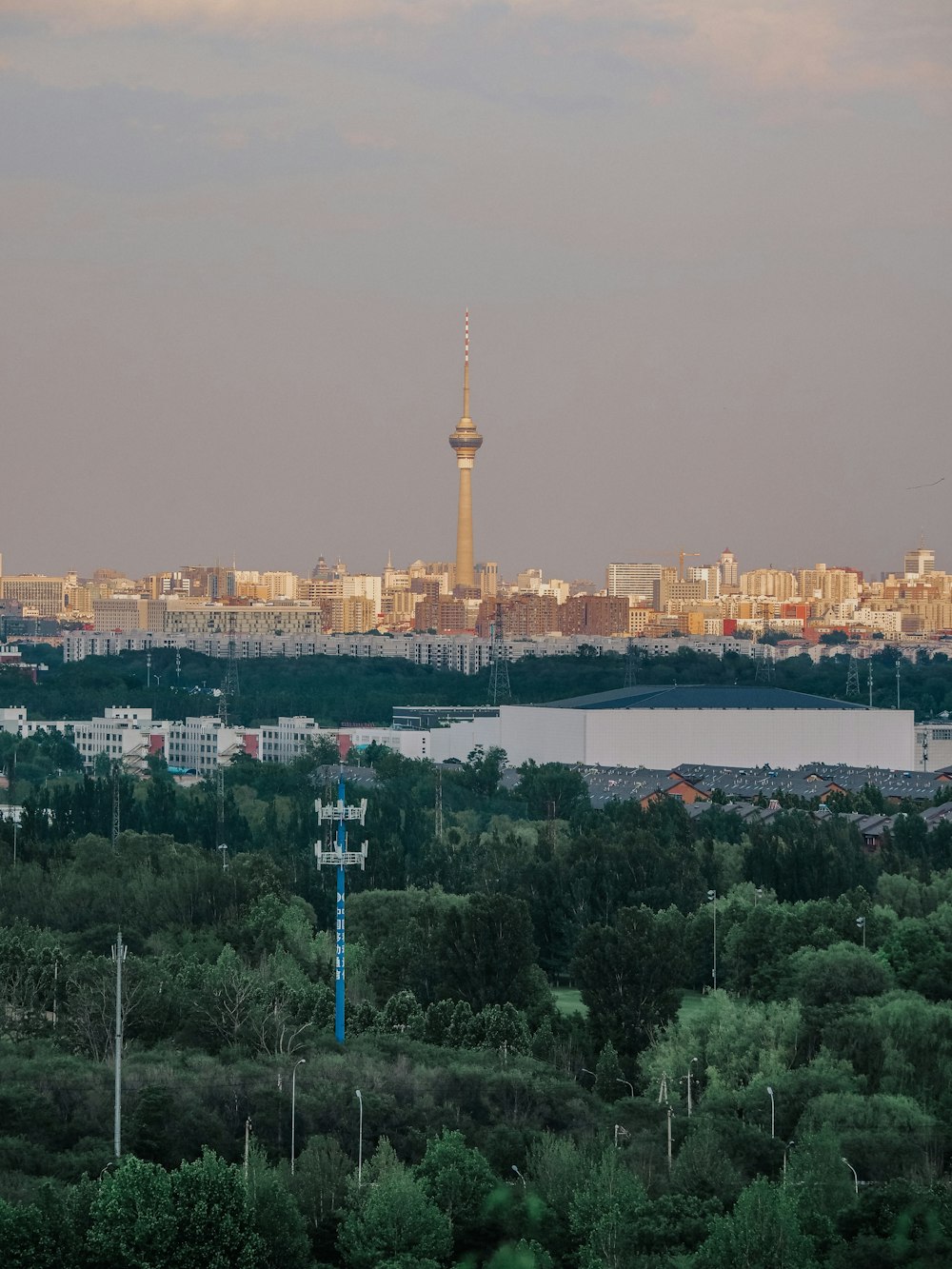 city skyline during day time