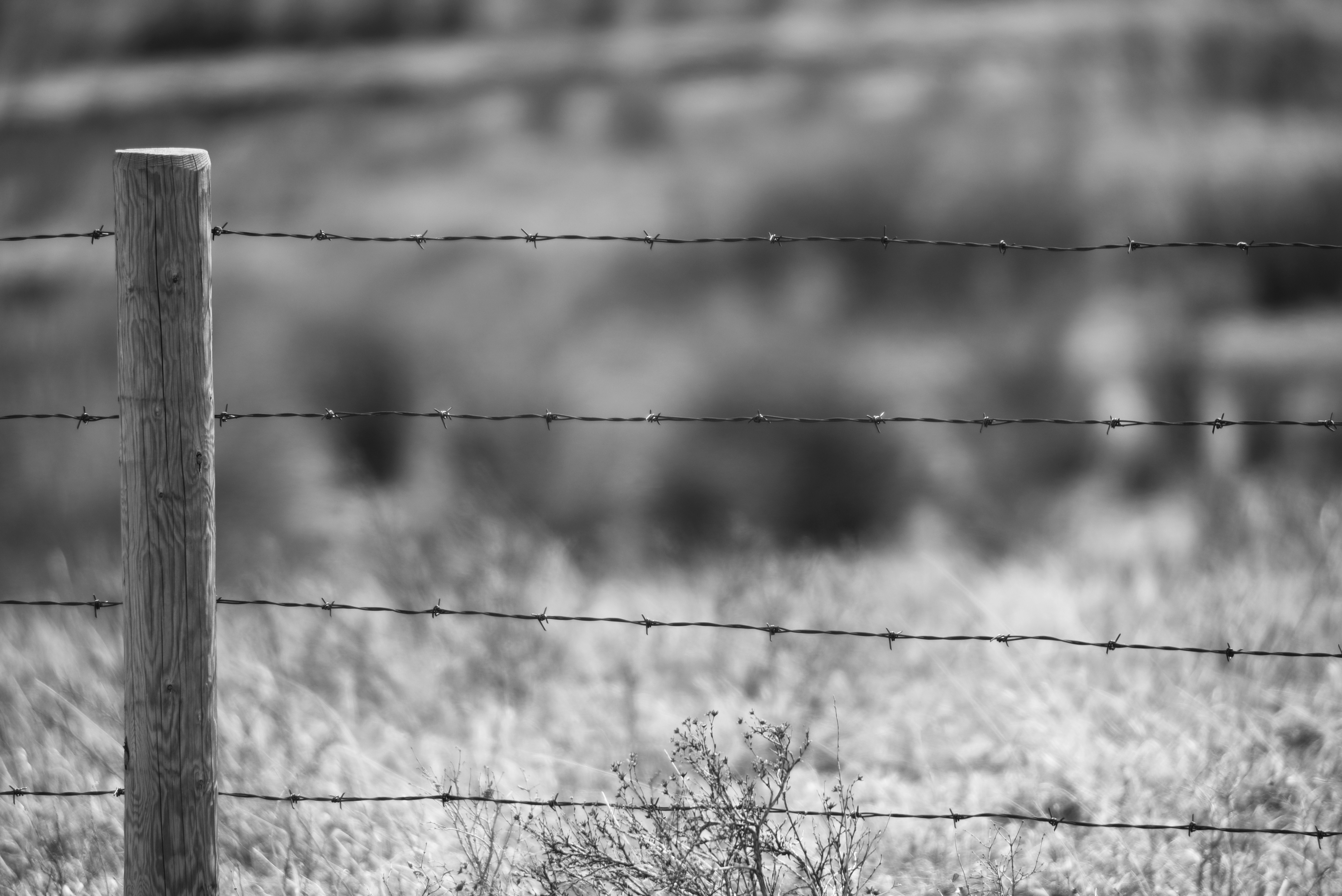 Photo by observeandwatch