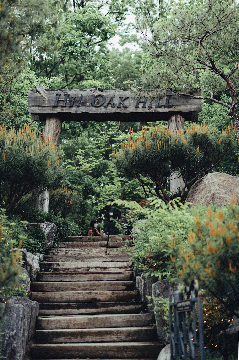 brown wooden bridge over green plants