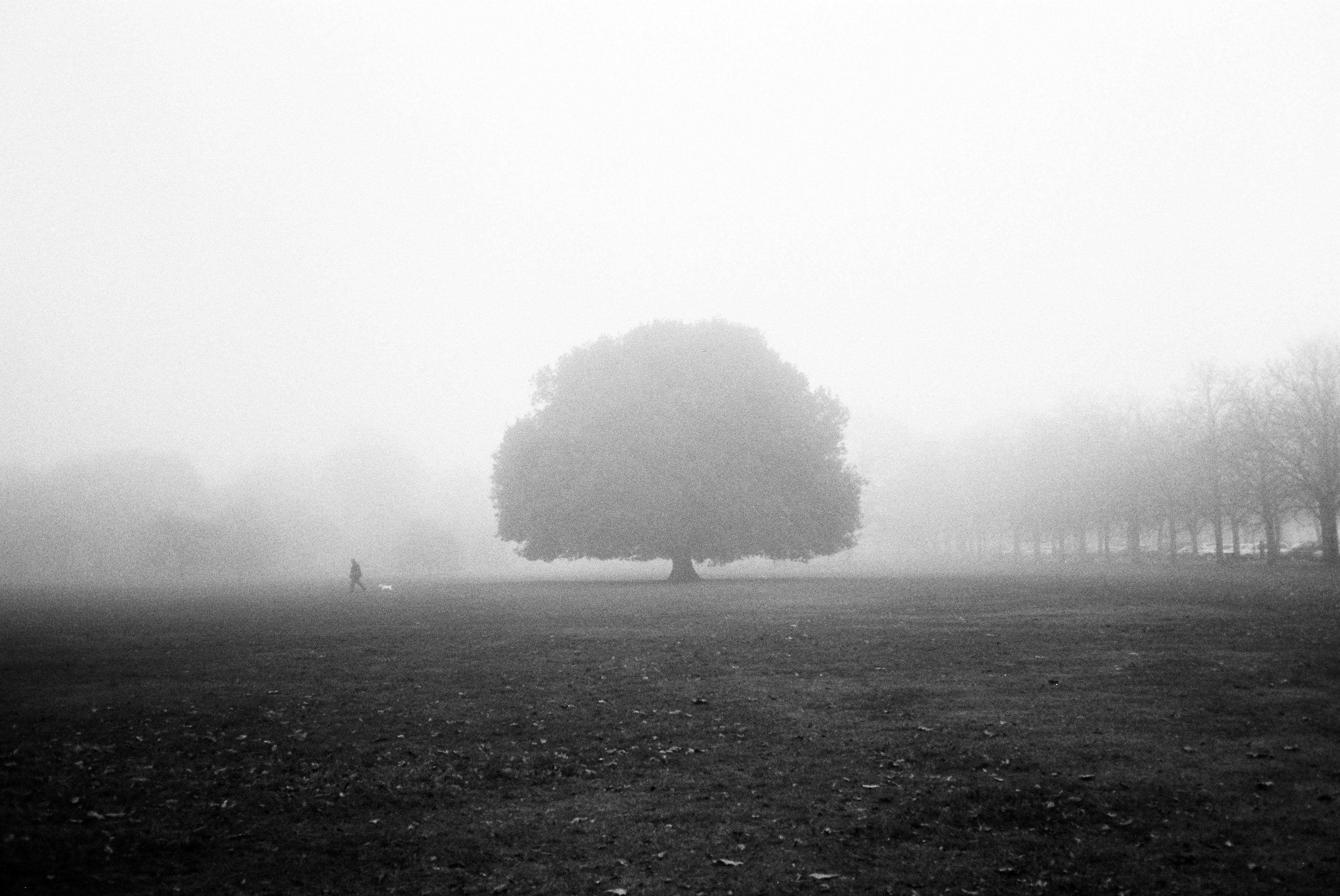 Photo by tomasrobertson