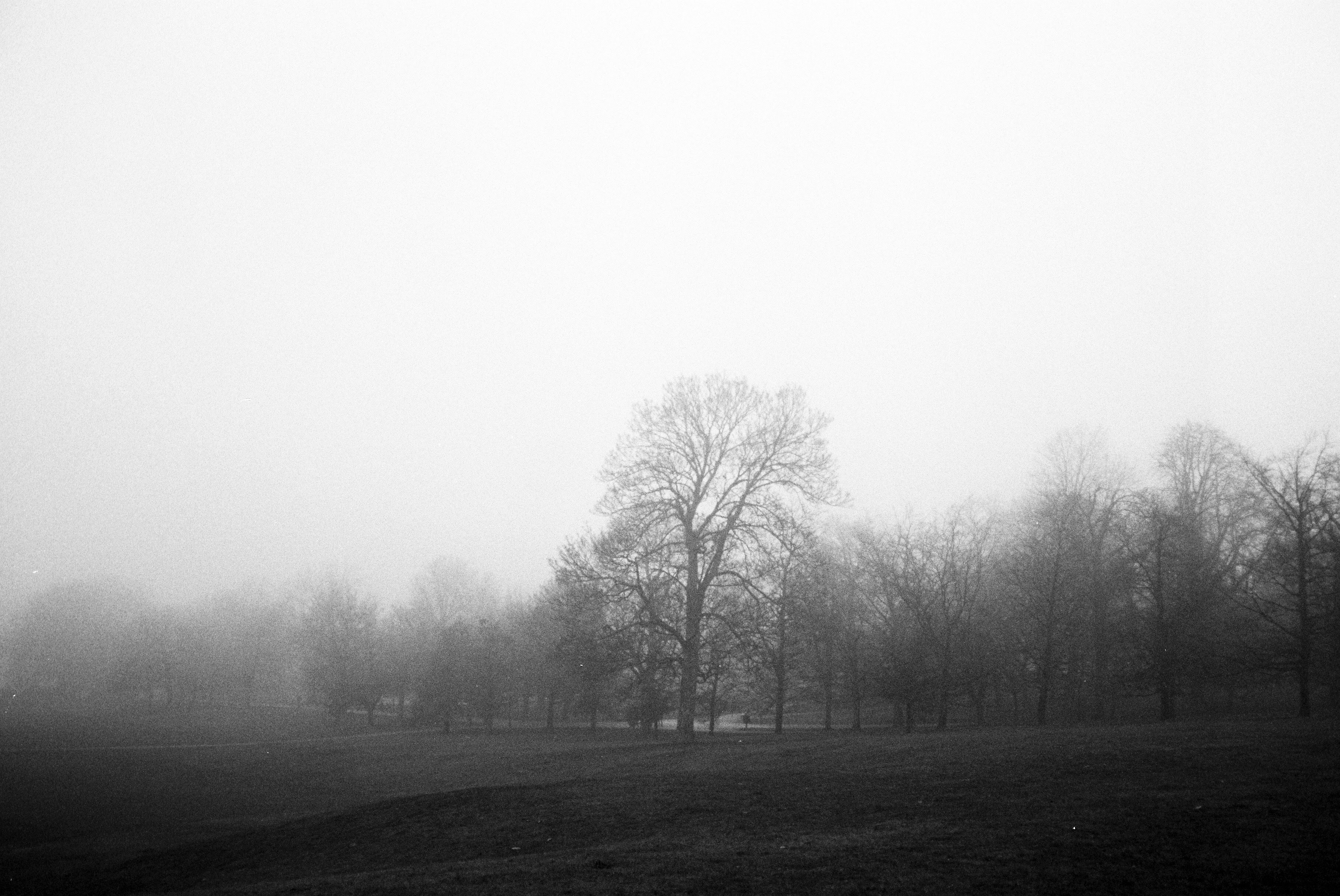 Photo by tomasrobertson