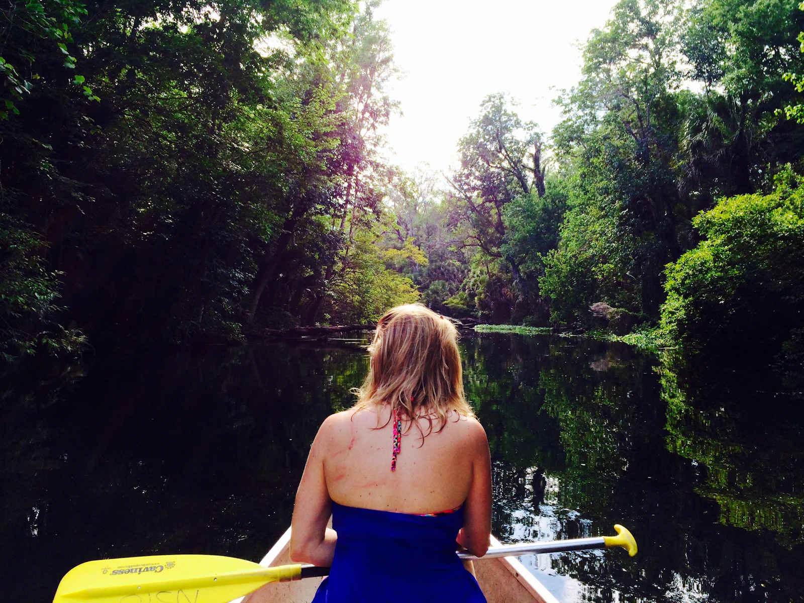 Paddling the spring-fed Wekiva on Seminole's western edge