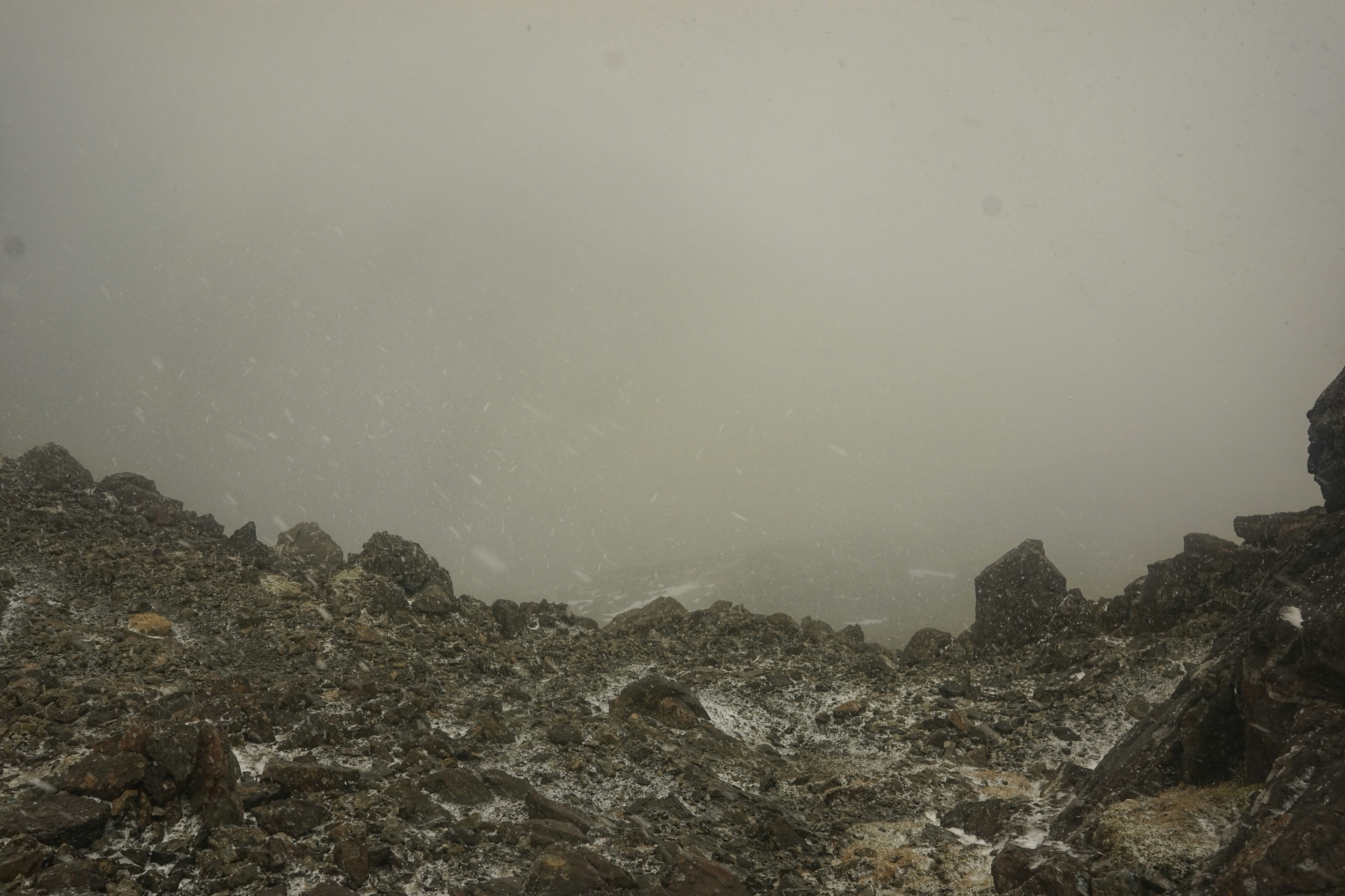 Photo by tomasrobertson