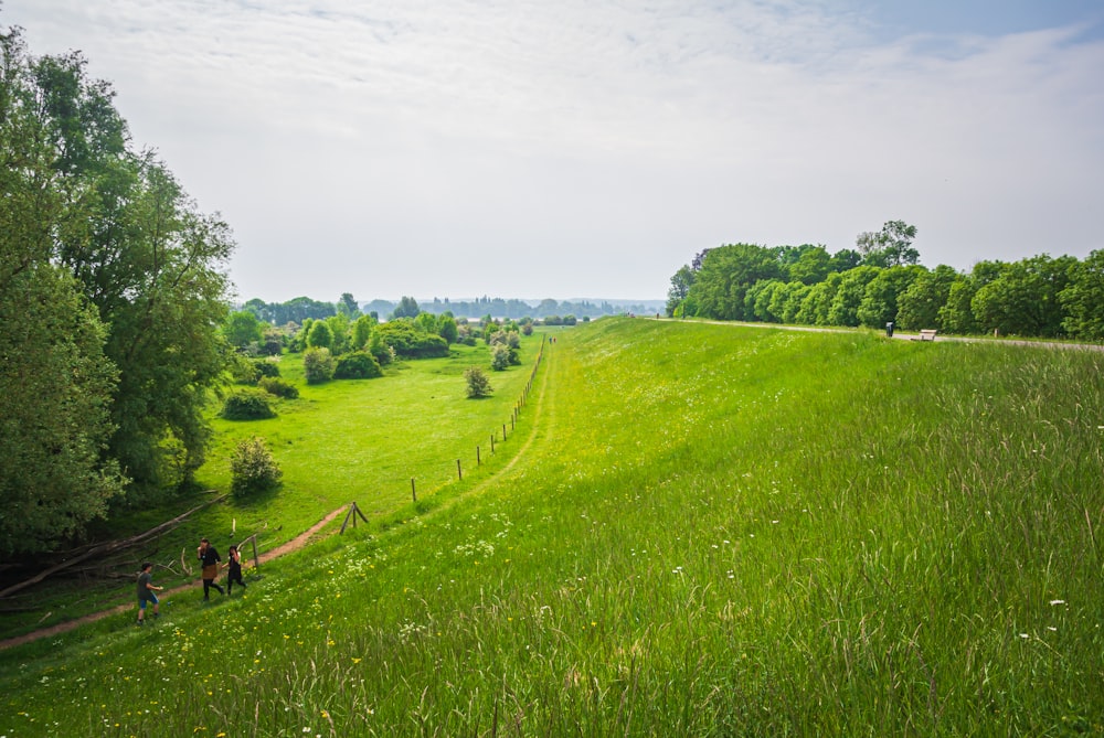 green grass field under white sky during daytime