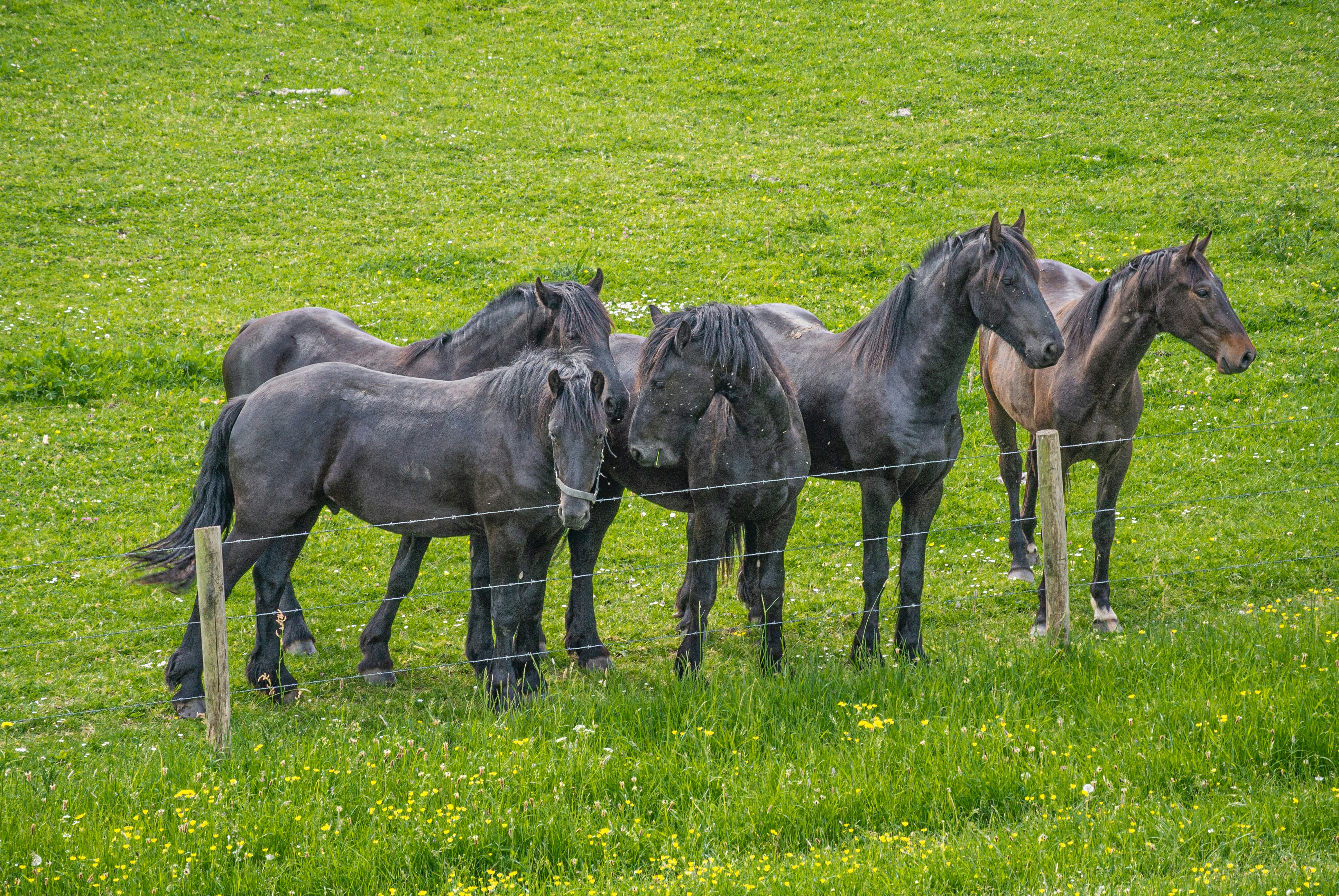 Photo by jzwaan