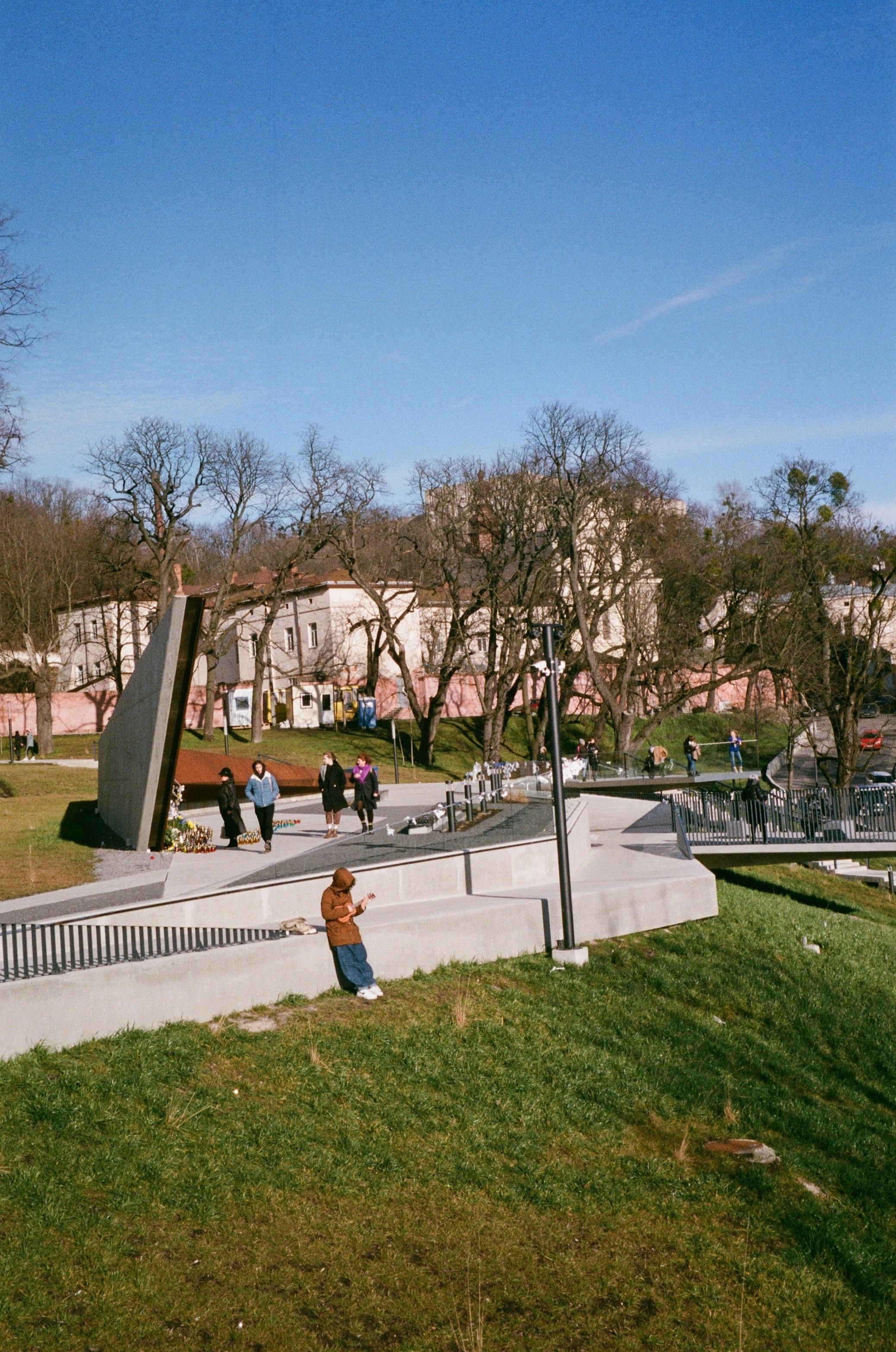 people walking on sidewalk near trees during daytime