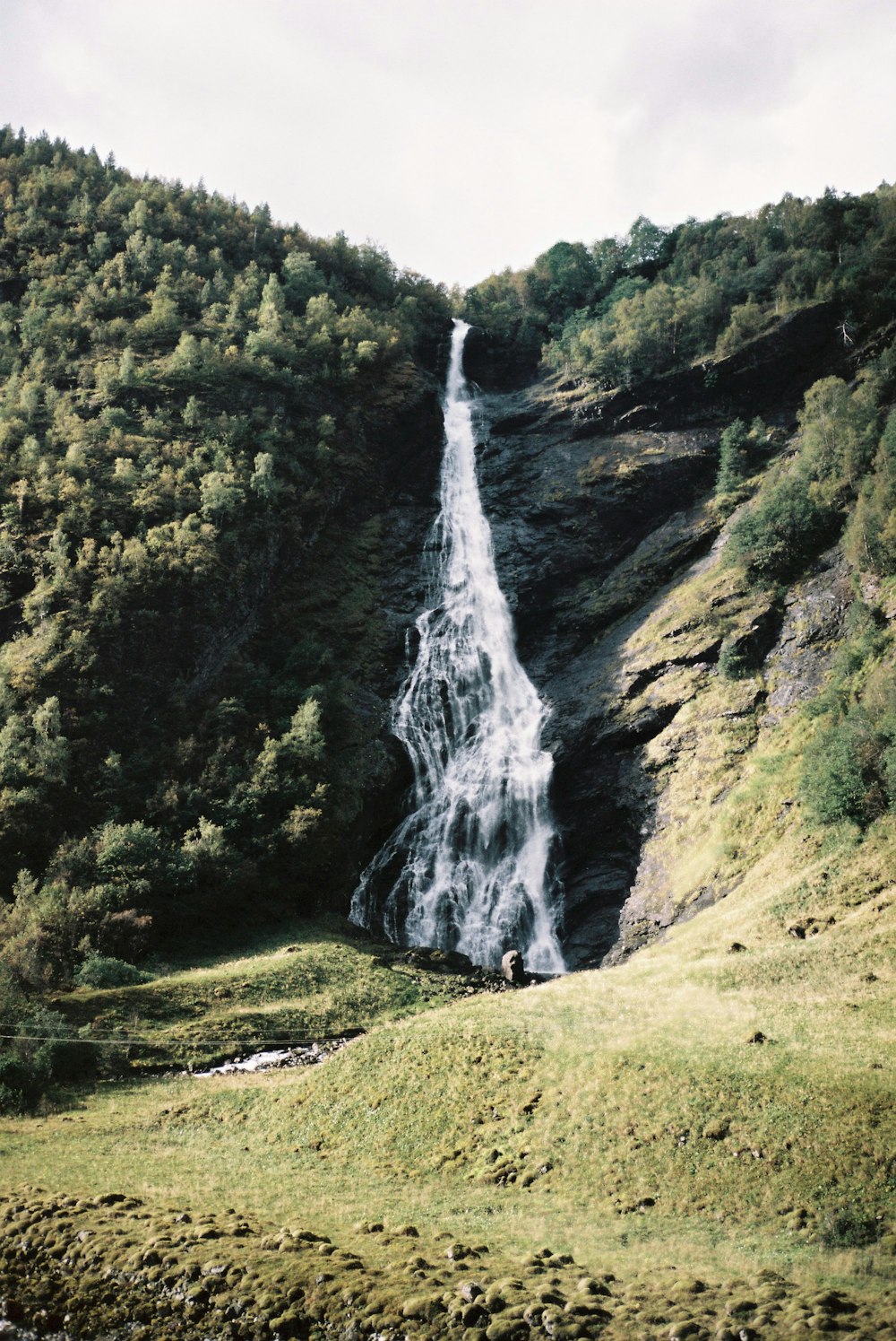 waterfalls in the middle of green trees