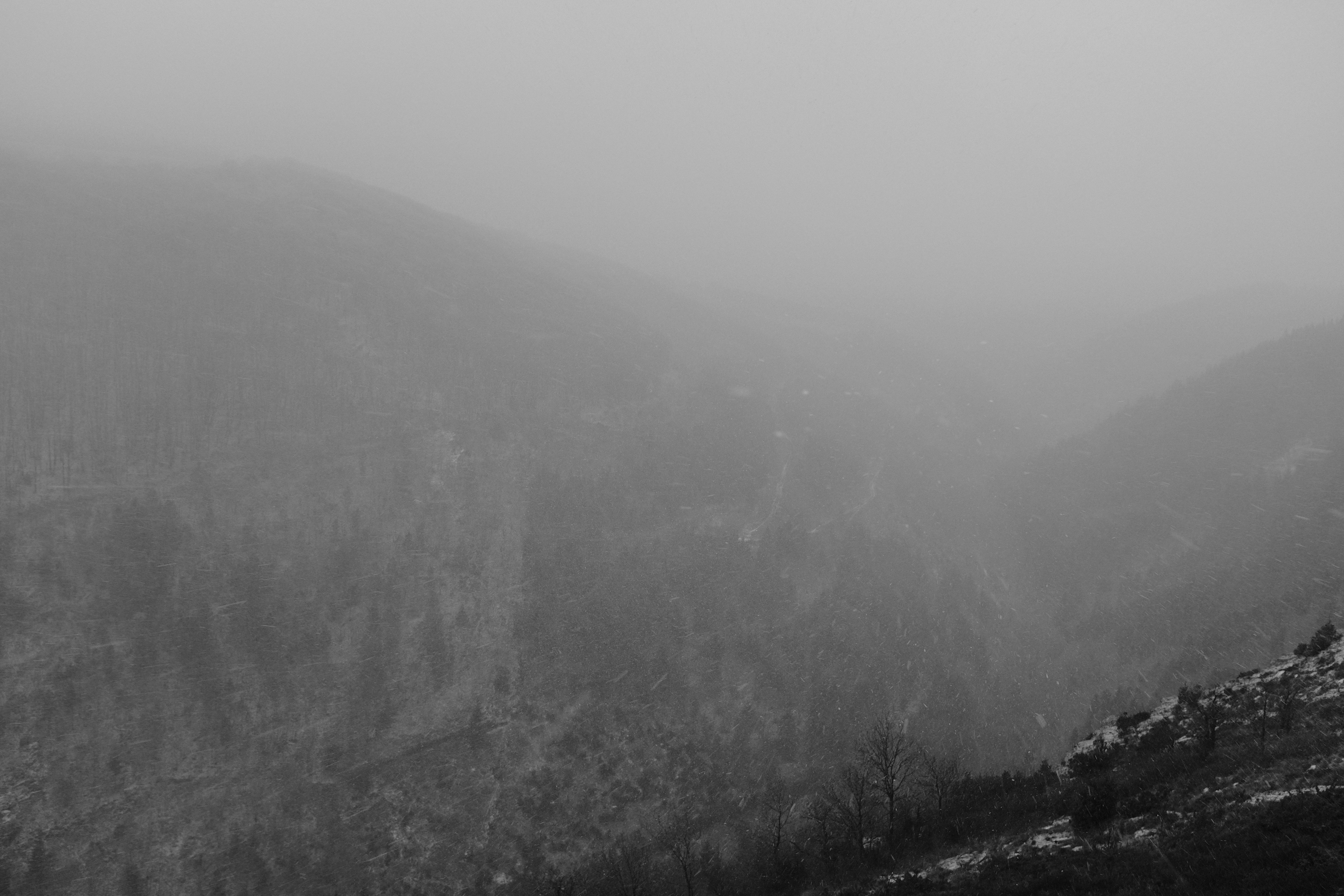 Photo by tomasrobertson