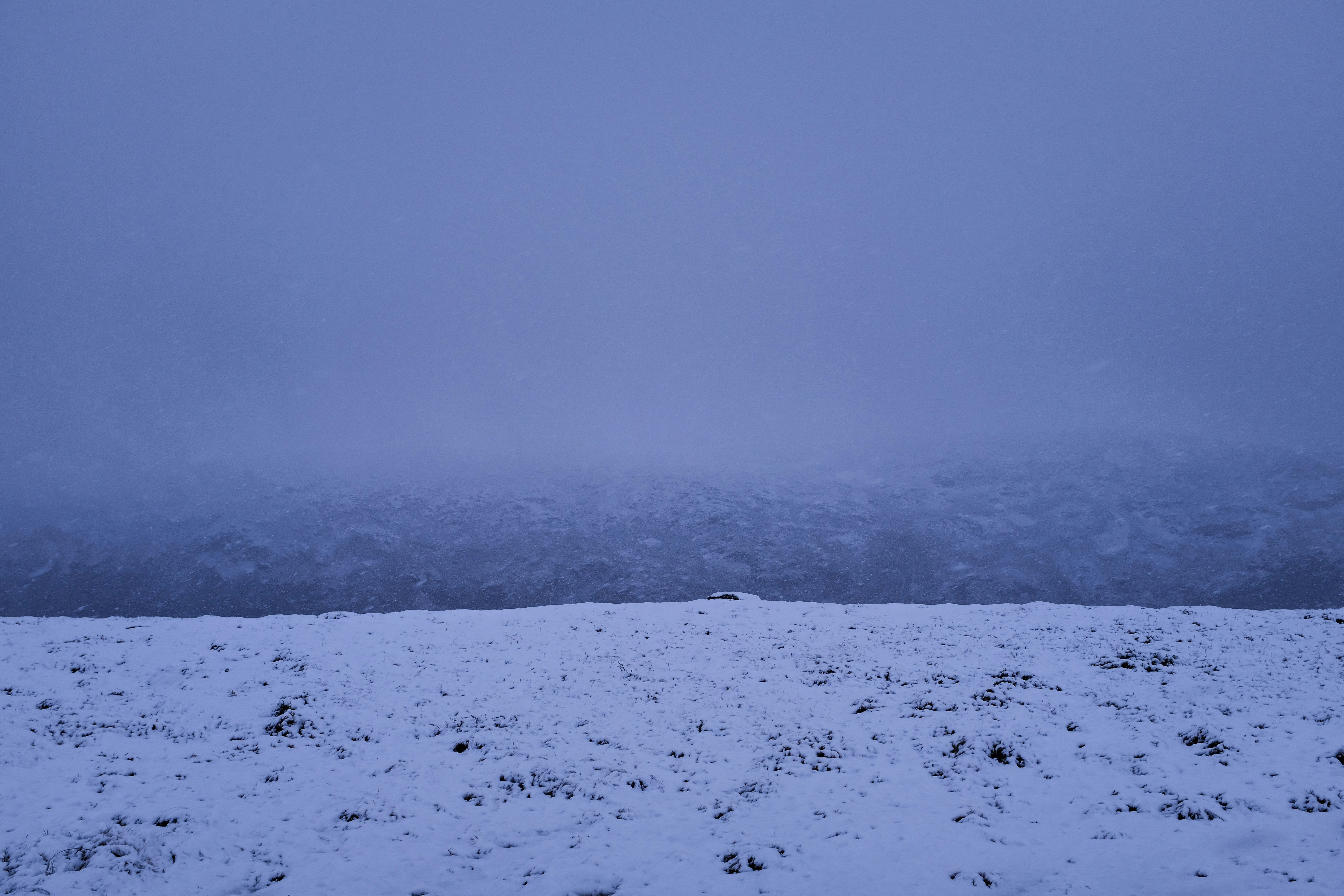 Photo by tomasrobertson