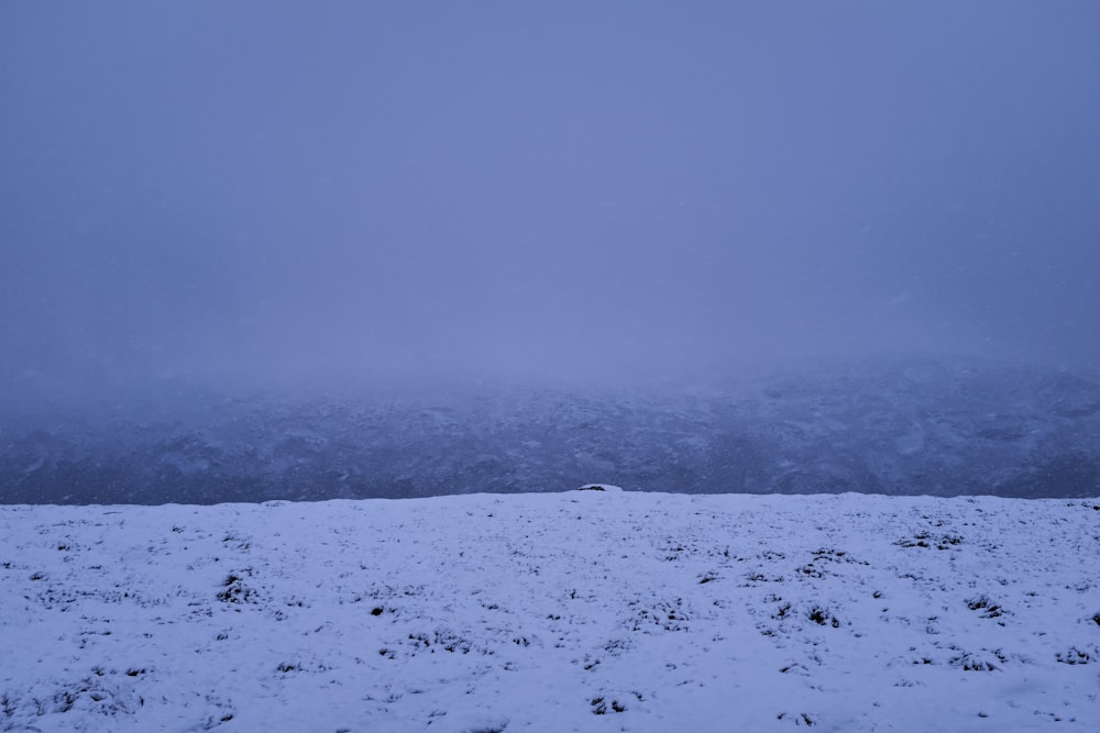 campo coberto de neve sob o céu azul