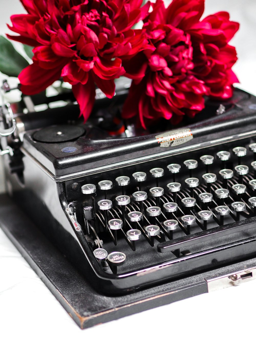 Rote Rose auf schwarzer Schreibmaschine