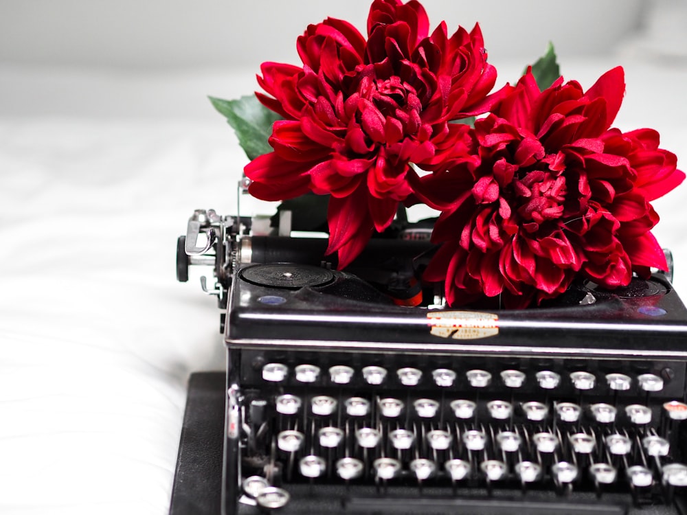 red flower on black typewriter