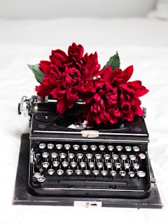 red roses on black typewriter