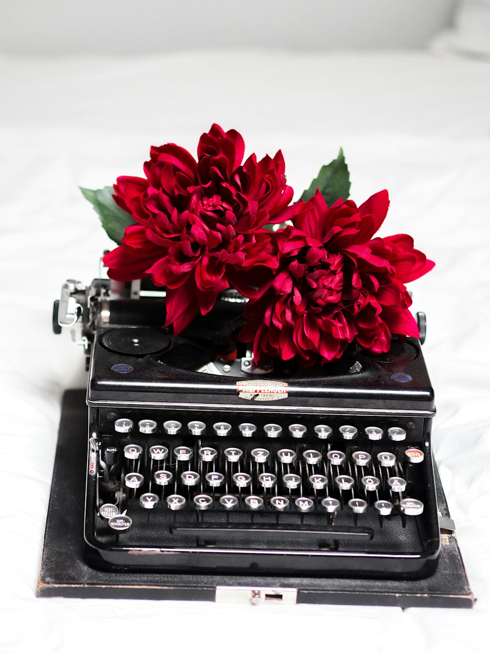 rote Rosen auf schwarzer Schreibmaschine