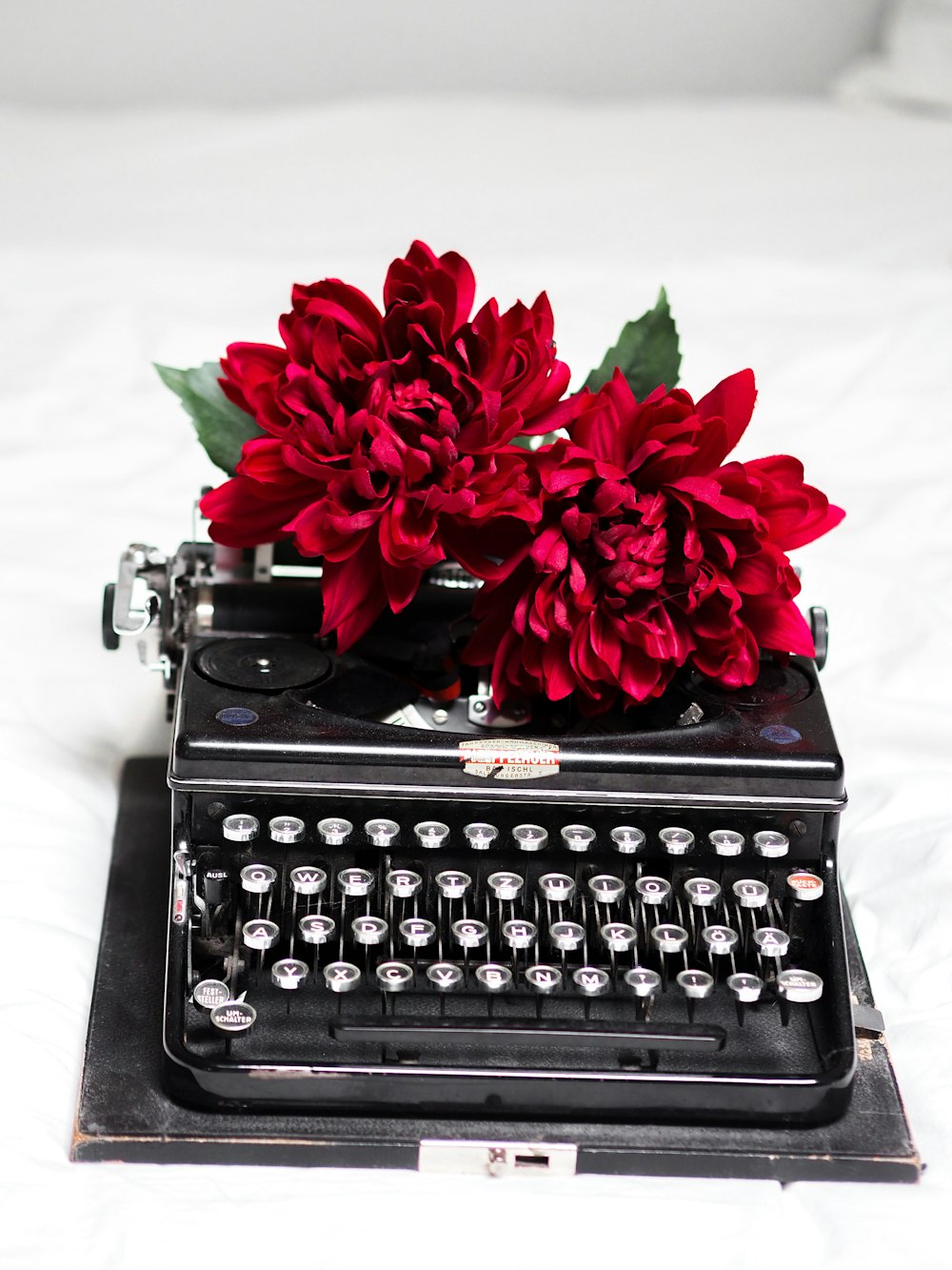 red roses on black typewriter