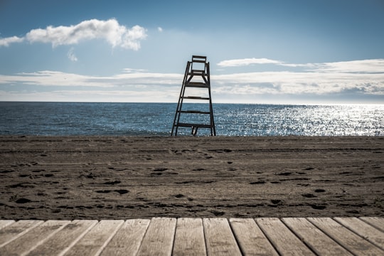 brown wooden dock on beach during daytime in Marbella Spain