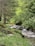 A serene woodland setting with a small flowing stream surrounded by lush greenery and rocks. A yellow hammock is suspended between two trees, indicating a tranquil space for relaxation.