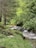 A serene woodland setting with a small flowing stream surrounded by lush greenery and rocks. A yellow hammock is suspended between two trees, indicating a tranquil space for relaxation.