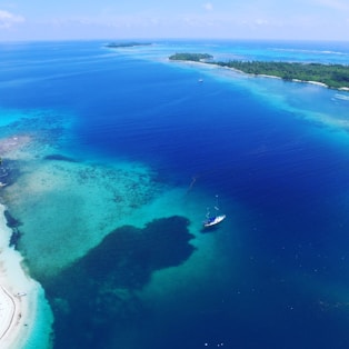 aerial view of a boat on a body of water during daytime
