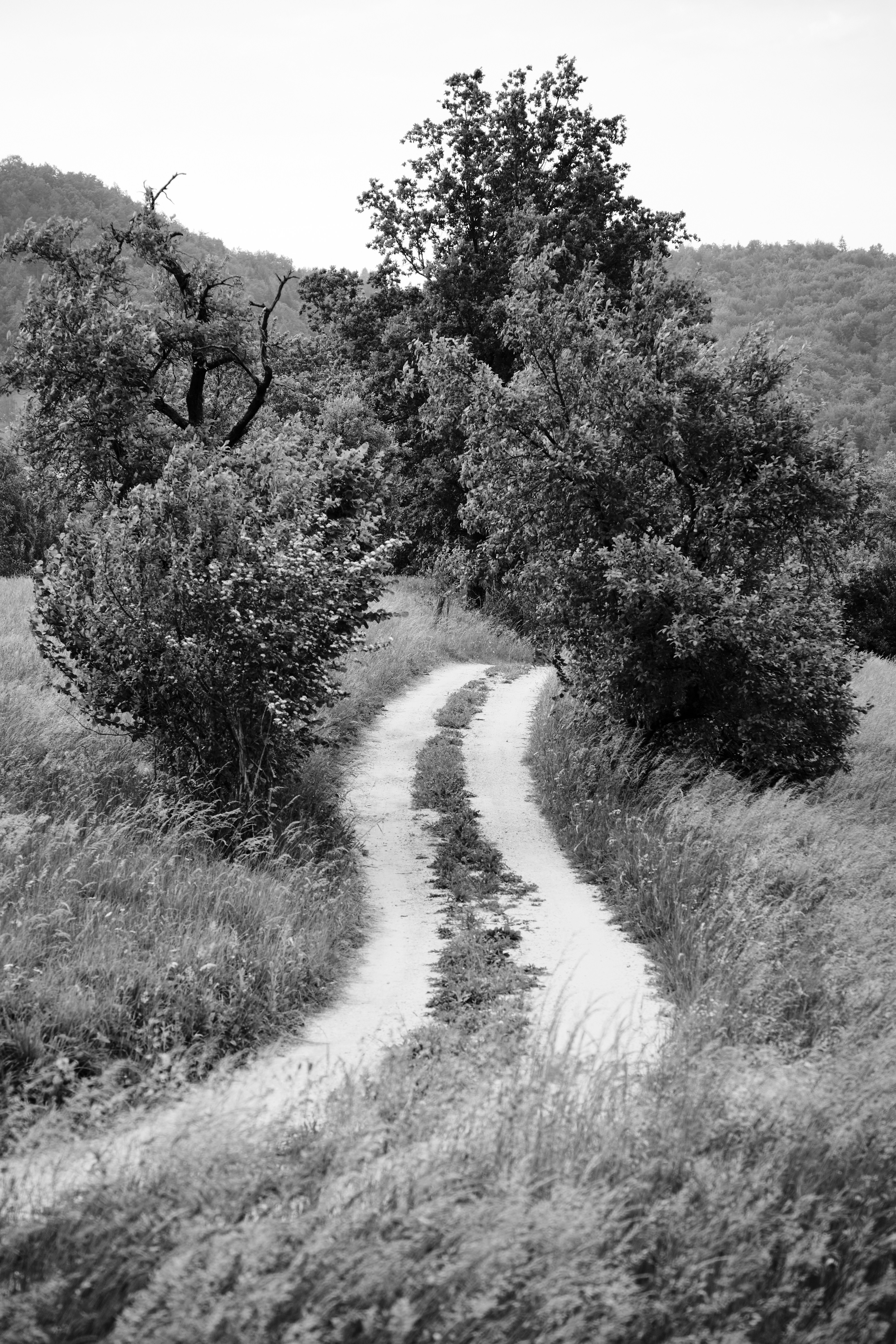 Photo by kristjankotar