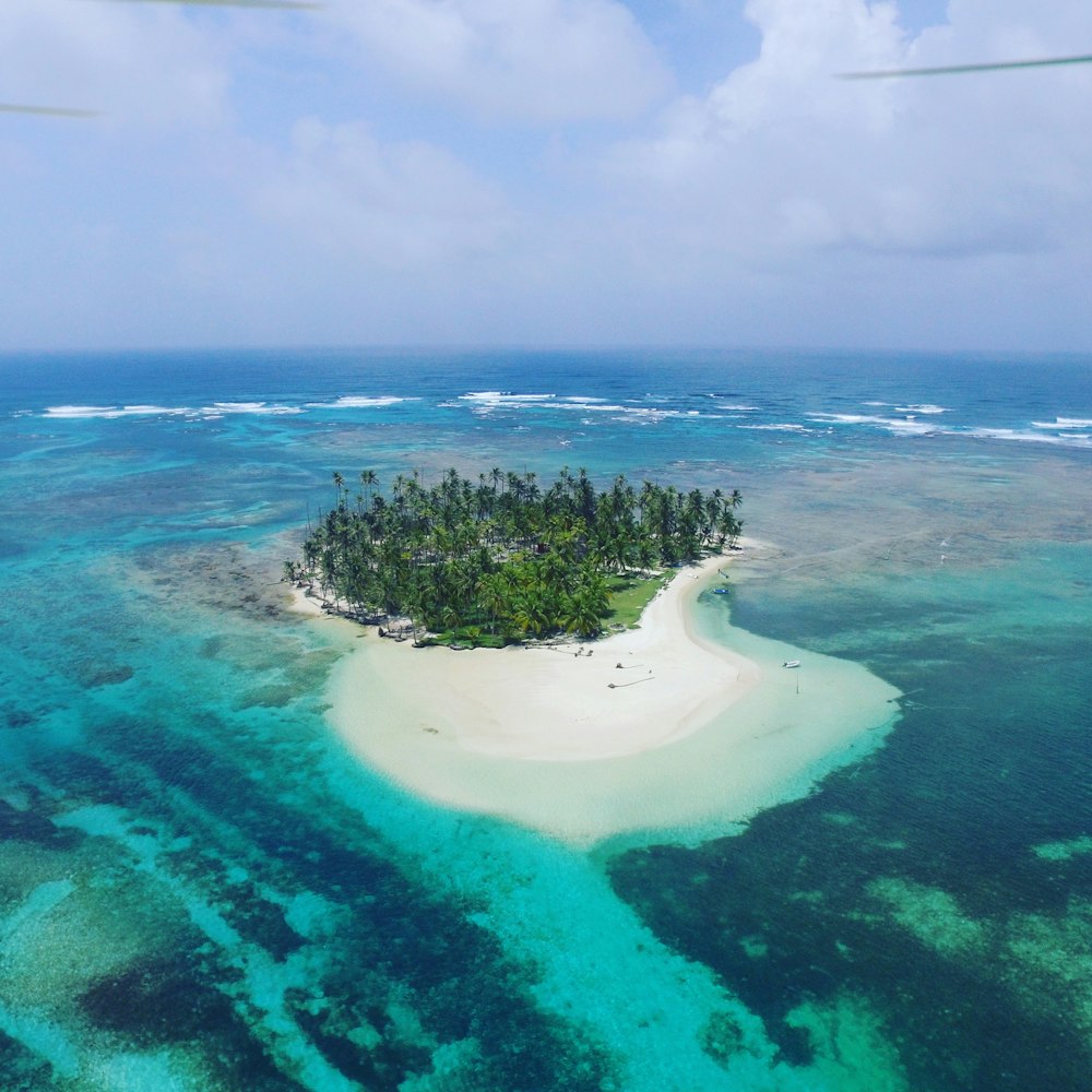 green trees on island during daytime