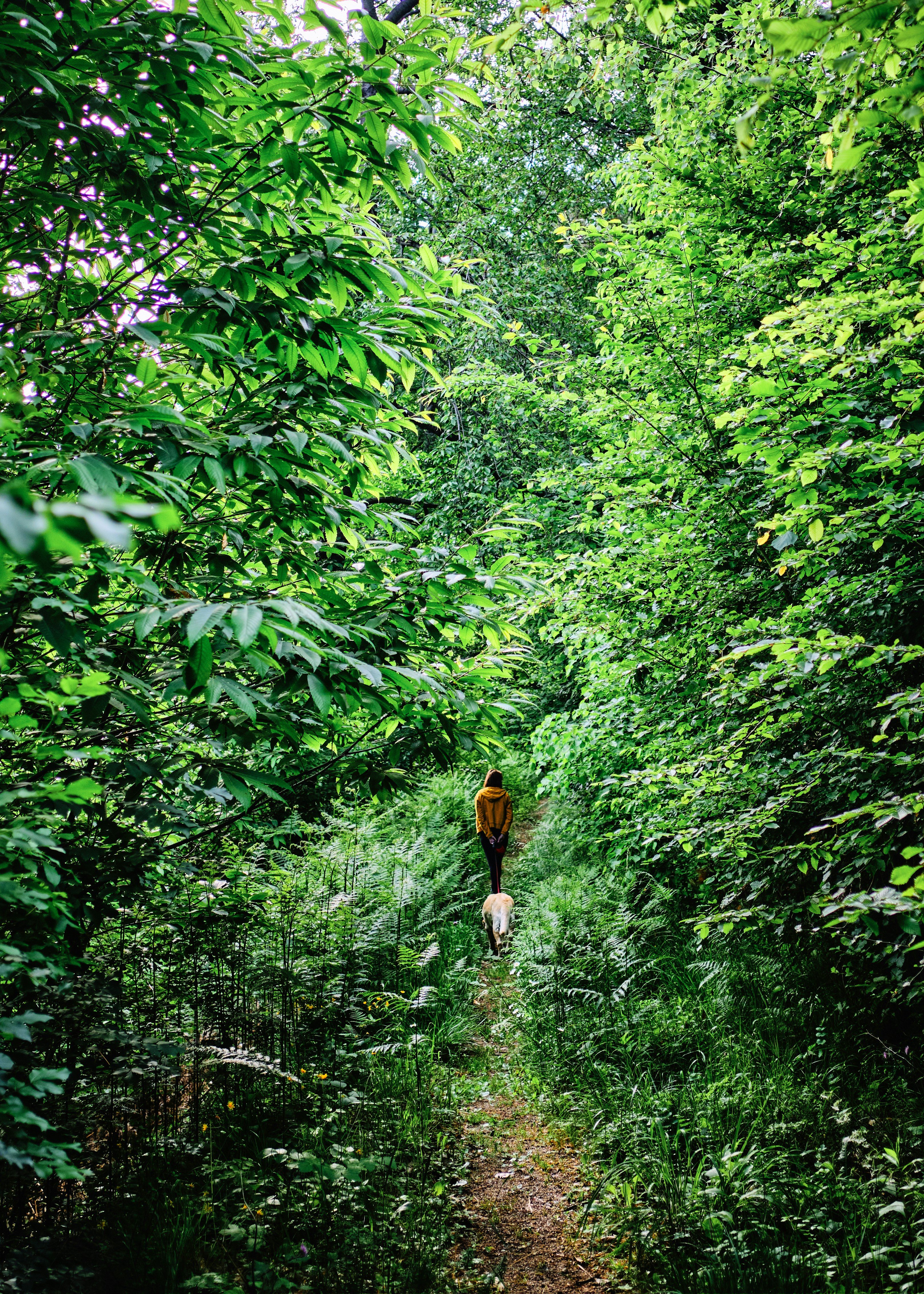 Photo by kristjankotar