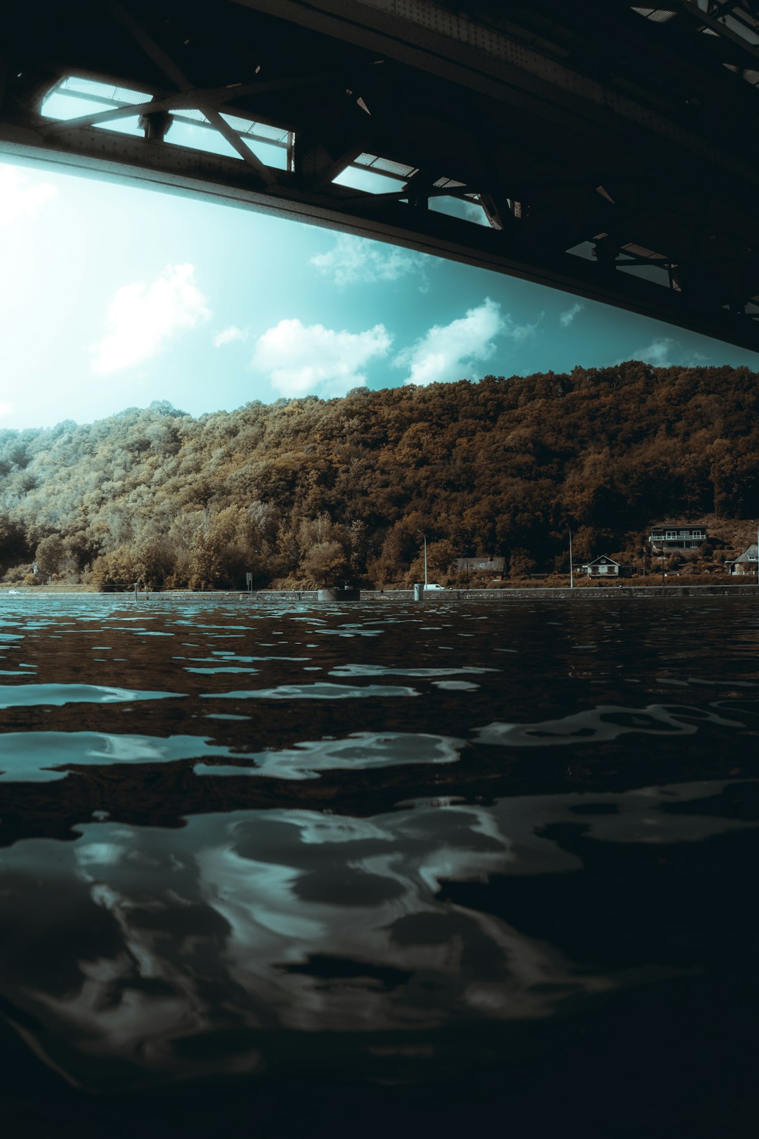 body of water near trees during daytime