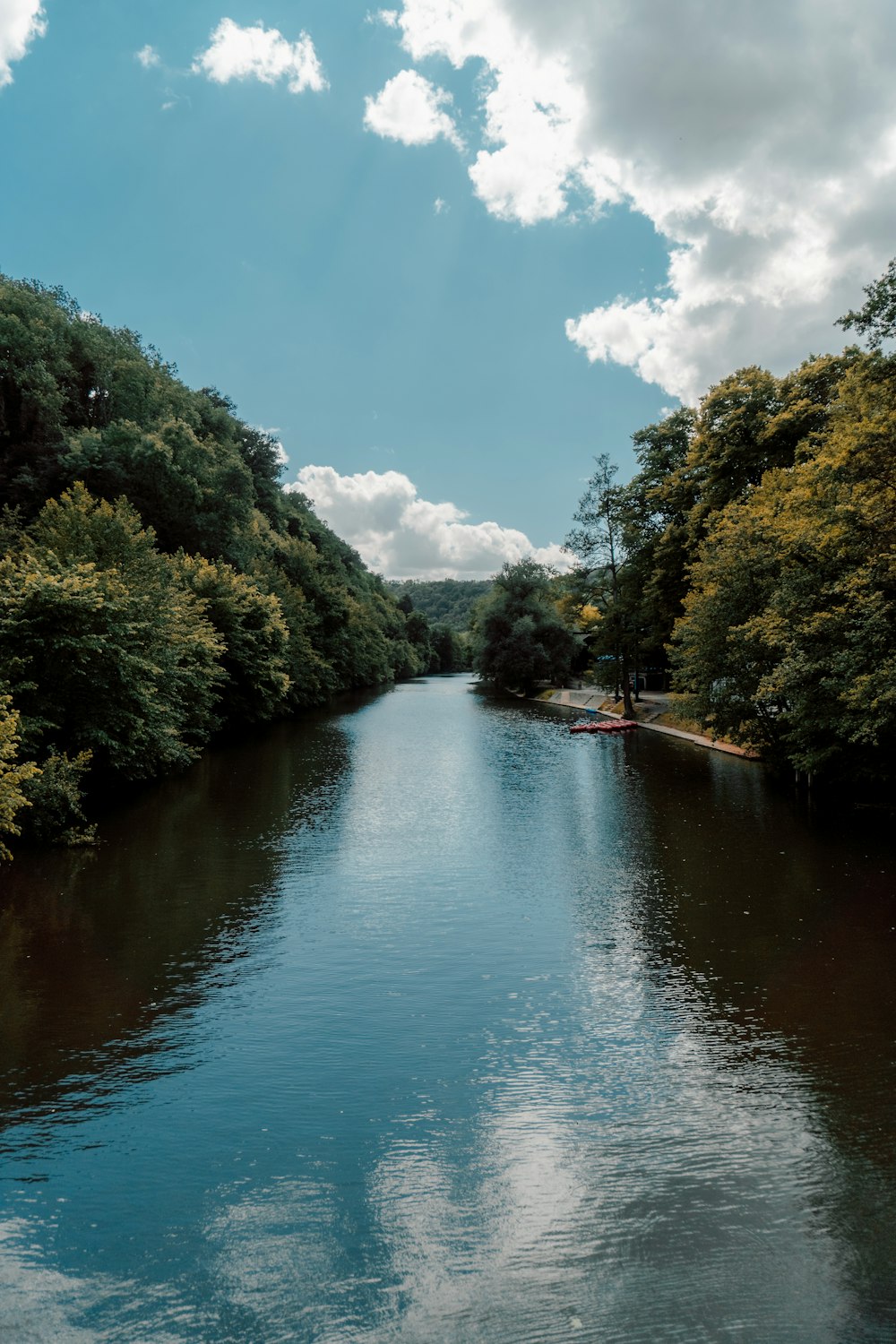 green trees beside river under blue sky during daytime