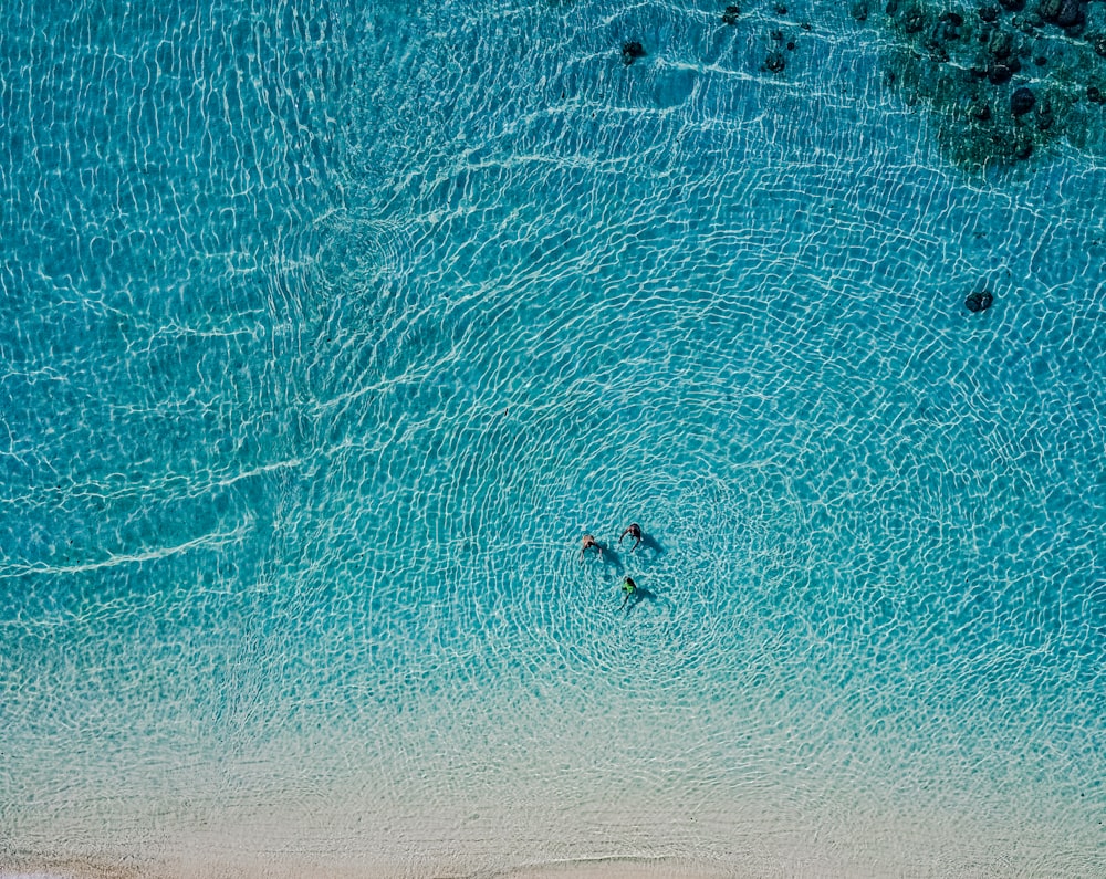 昼間に海上でサーフィンをしている人の空撮