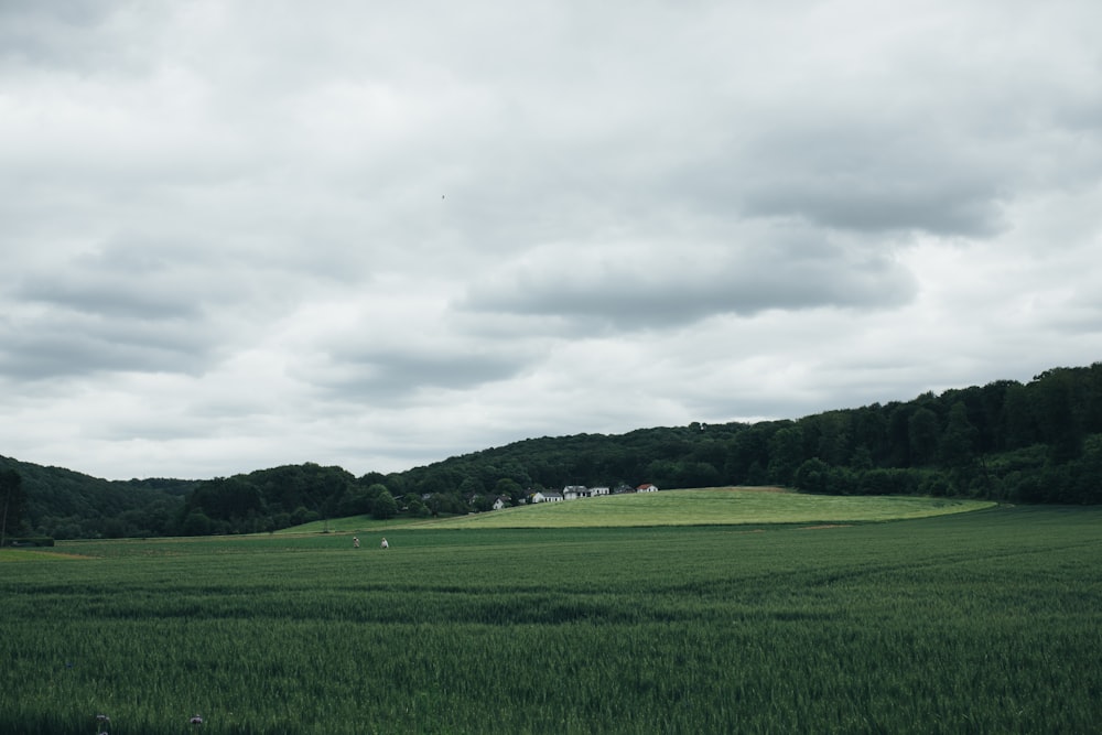 green grass field under cloudy sky during daytime