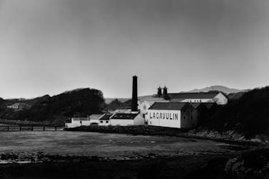 grayscale photo of houses near body of water