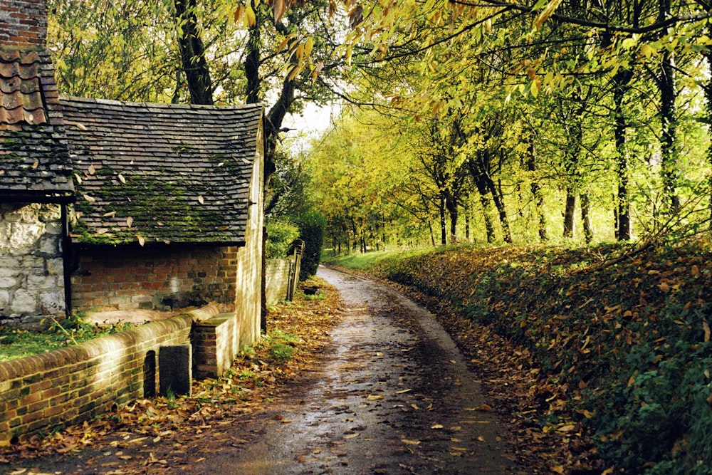 Braunes Holzhaus mitten im Wald