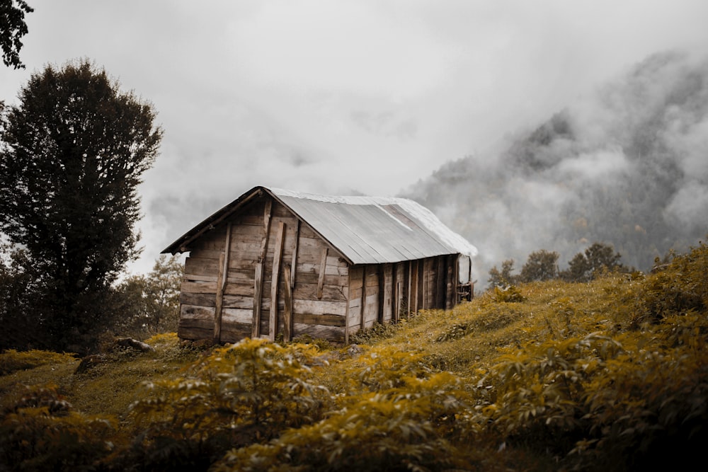 brown wooden house on green grass field under gray clouds