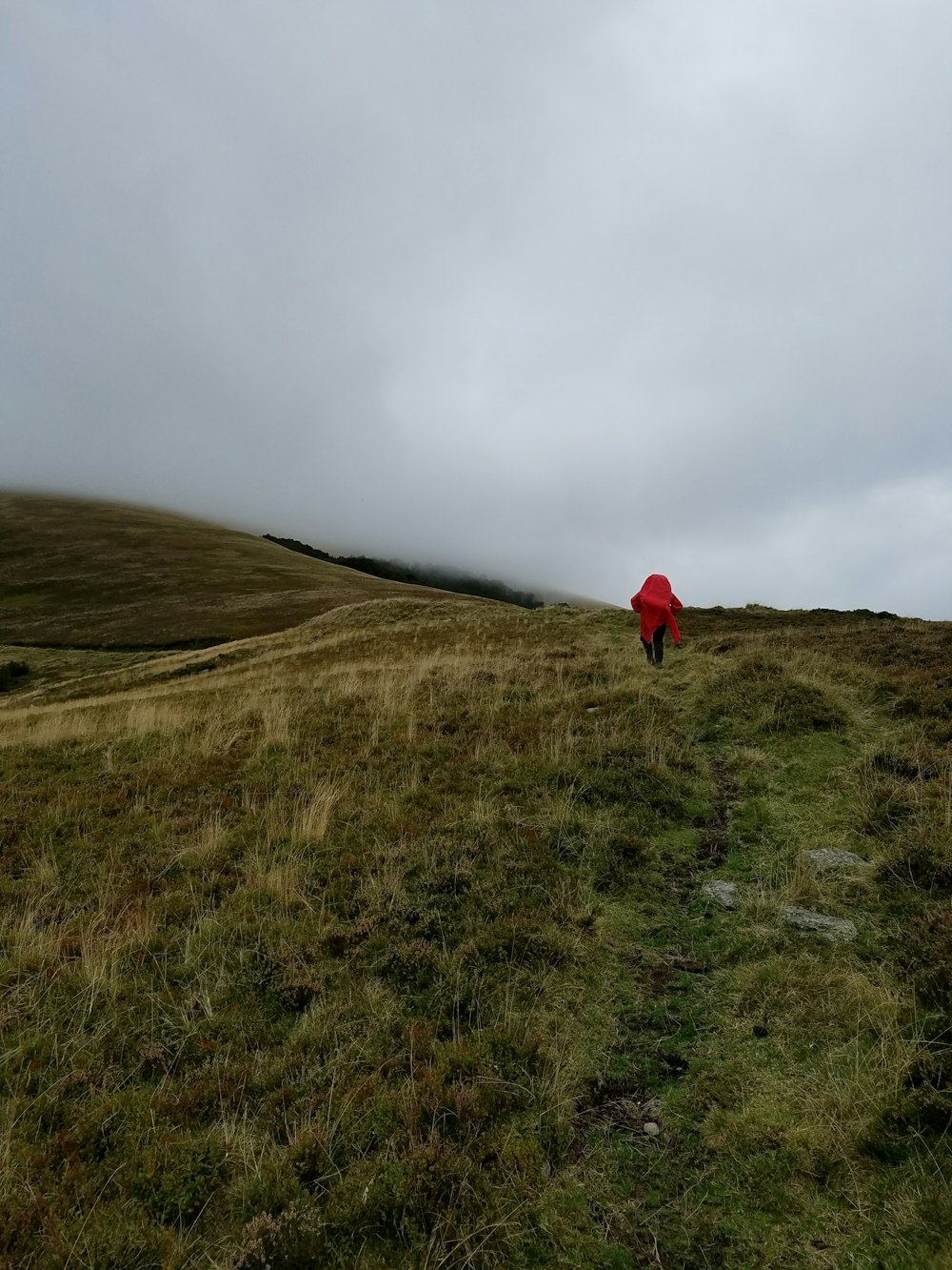 person in red jacket walking on green grass field under white cloudy sky during daytime