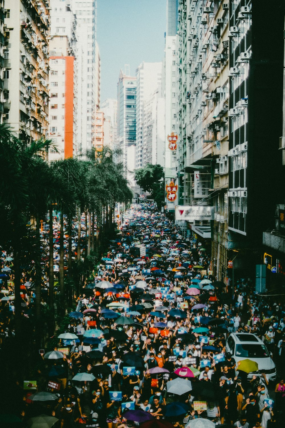 people in a city street during daytime